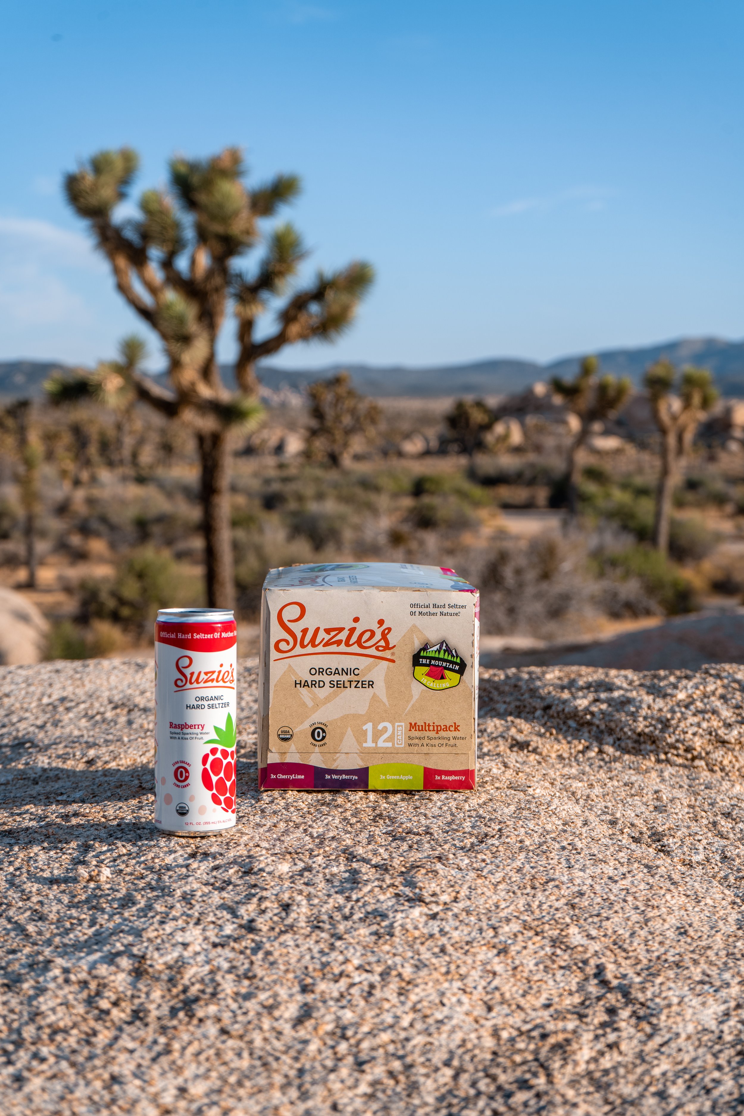 Suzie's Hard Seltzers-15.jpg