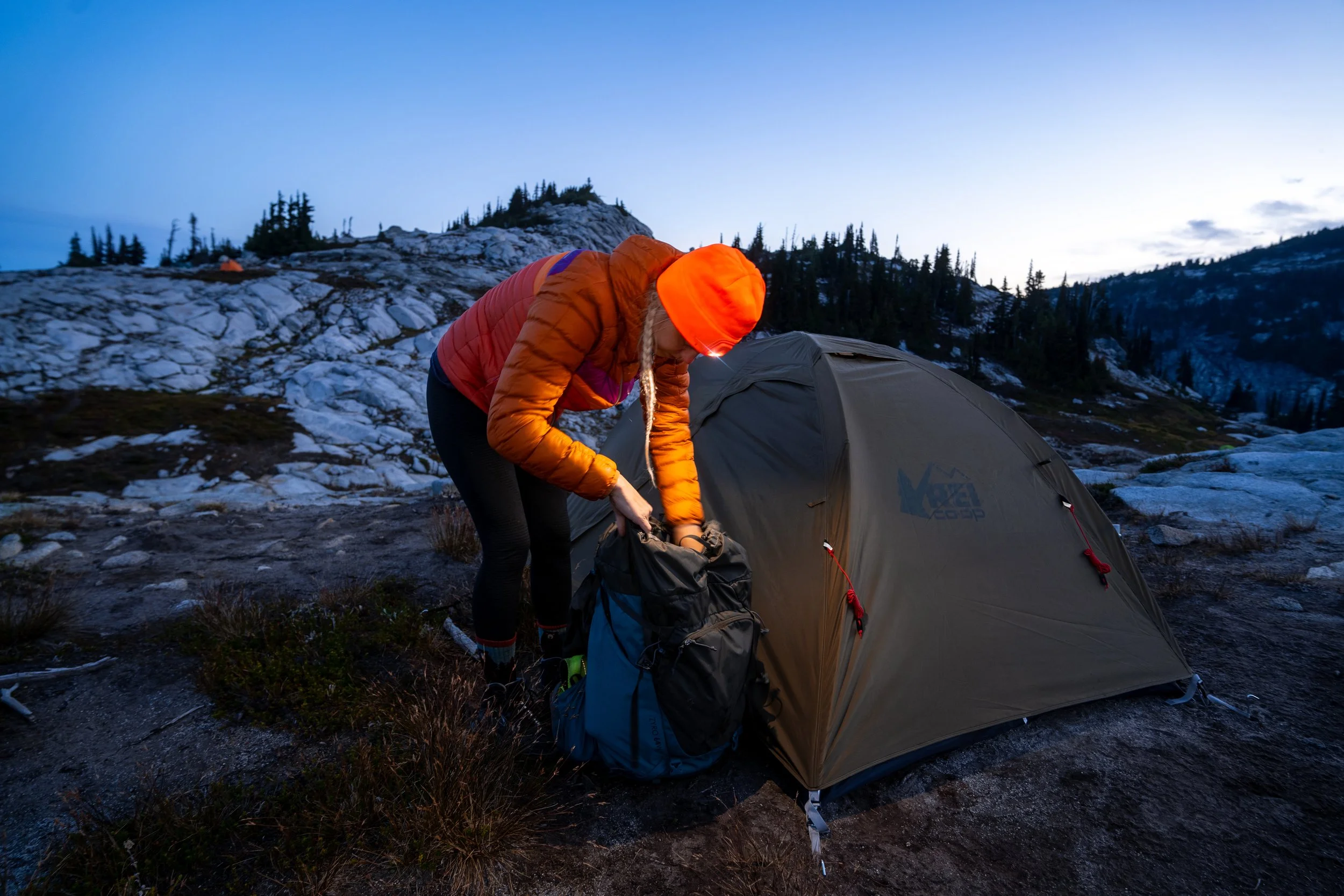 Panther Vision 15.jpg