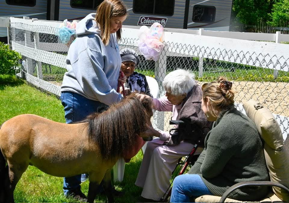 Louie getting a good scratch from a tea party guest.