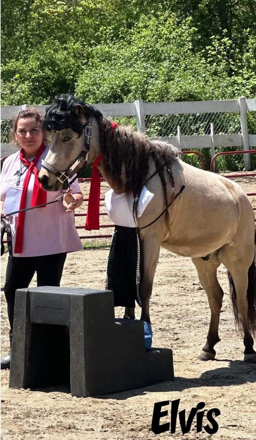 Elvis doing his famous mounting block trick.