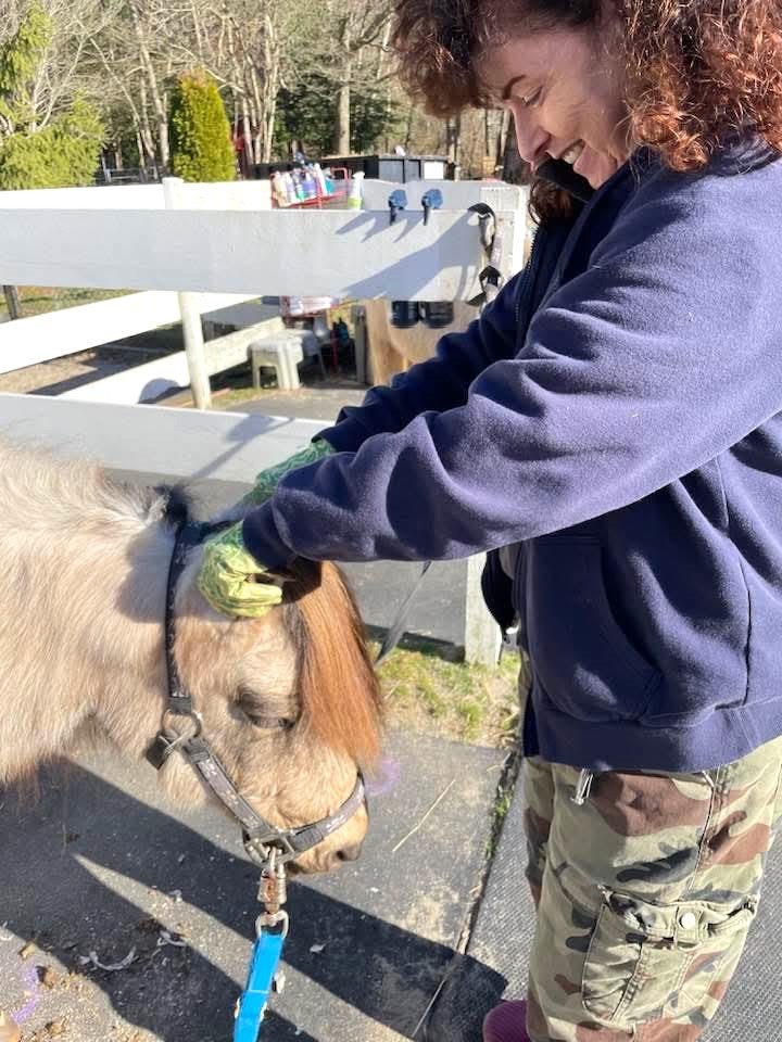 Volunteer Meg, gives Romeo an ear massage.