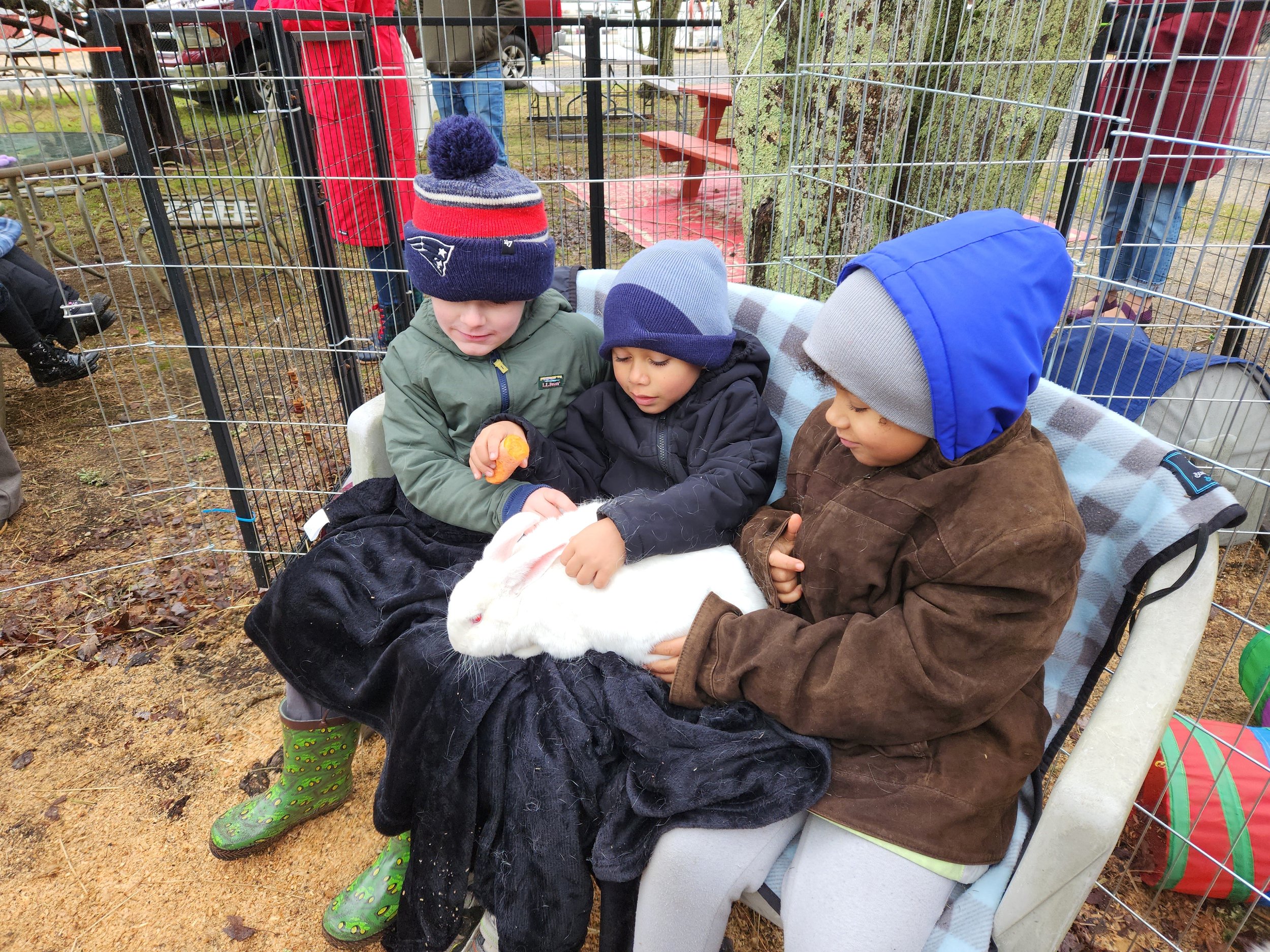 Learning about Marshmallow the bunny.