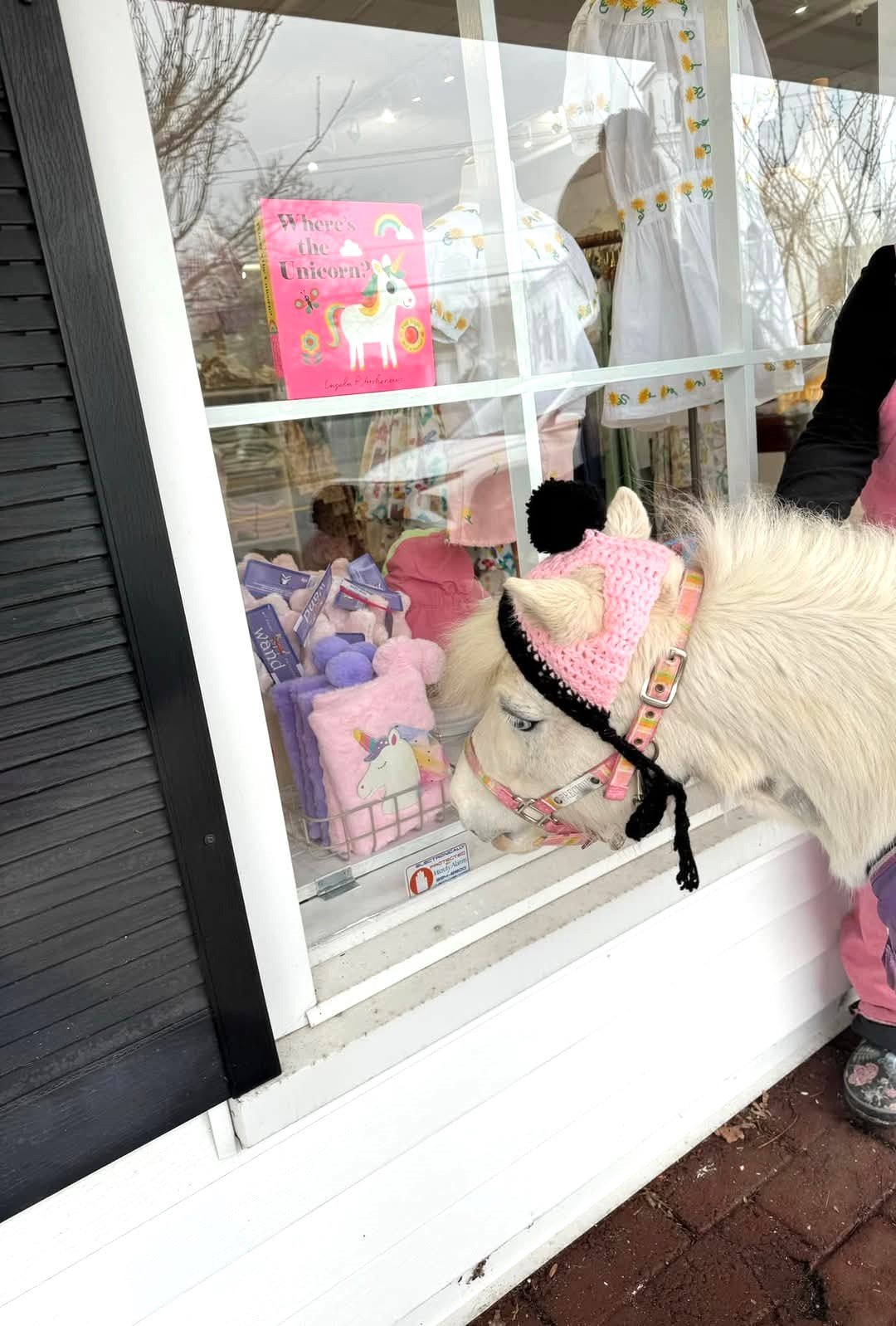 Shopping at The Shoe Salon in Osterville. A girl can never have too many shoes.