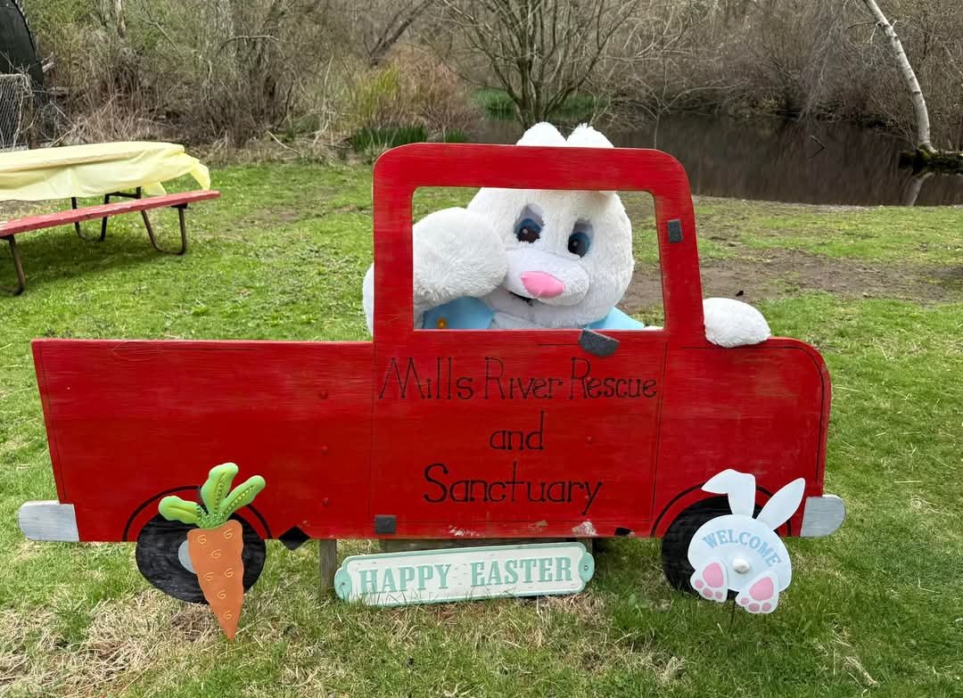 Easter (2).jpg