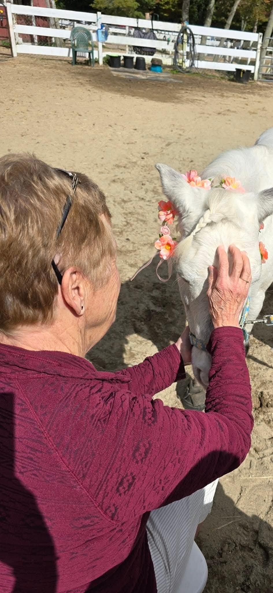 Precious enjoying a good scratch from a sweet lady.