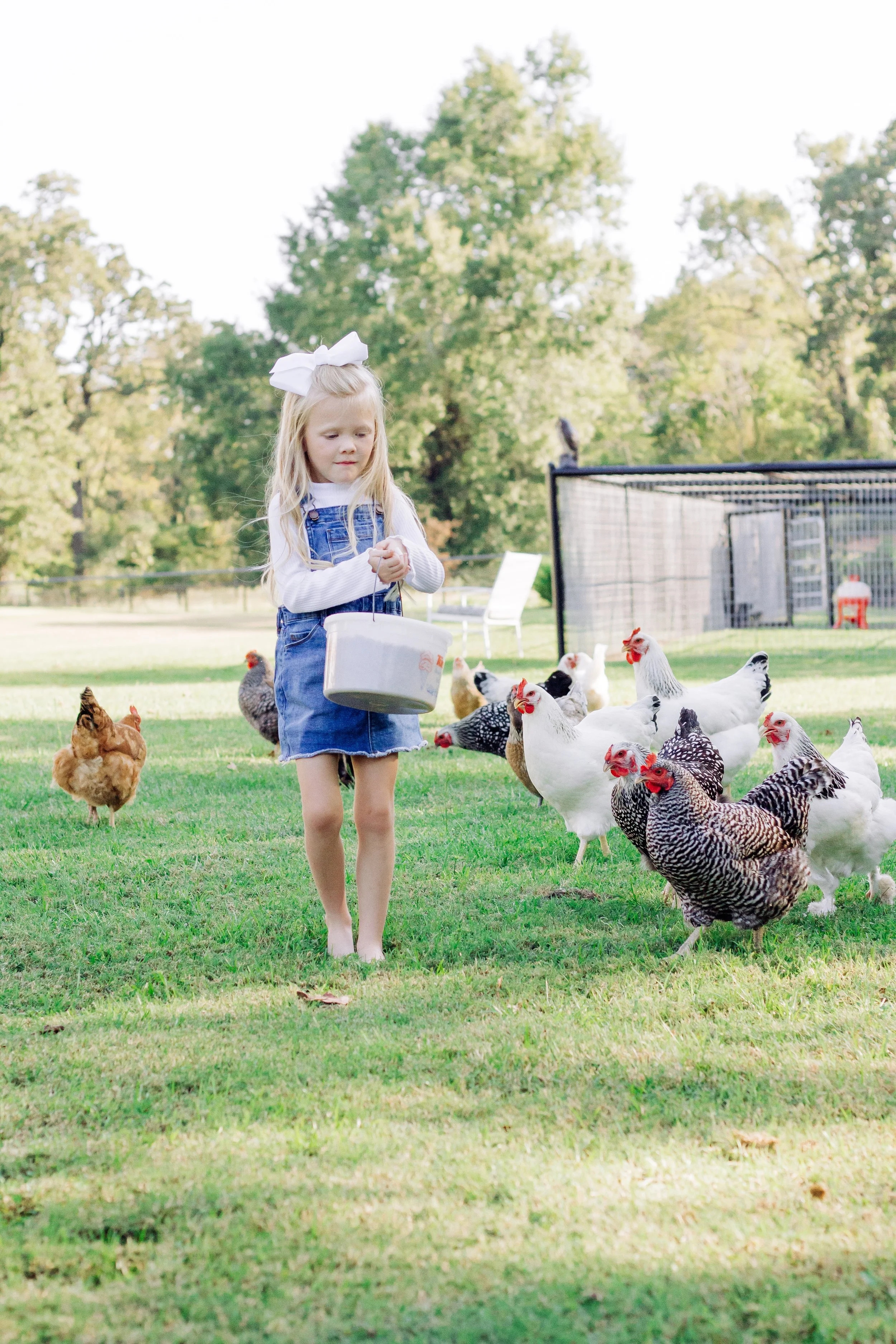 How to keep your flock safe