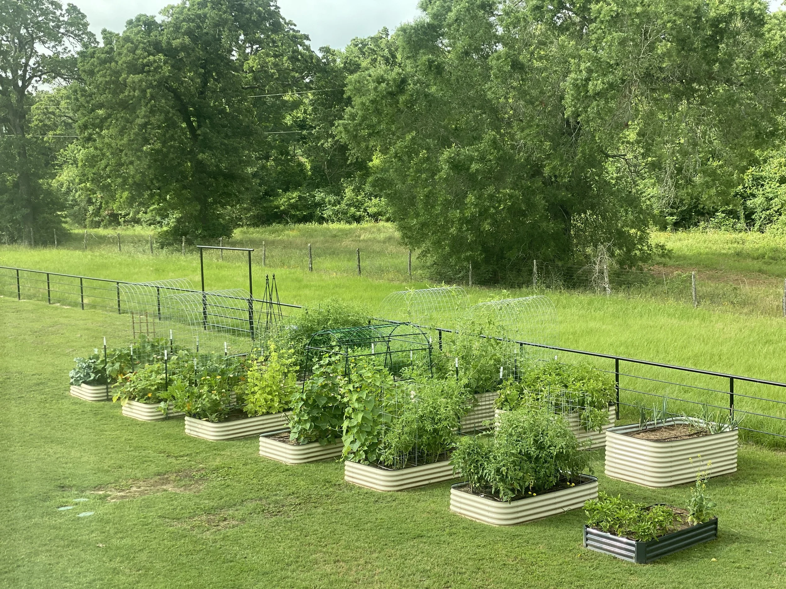 Our Advice for New Gardeners: Start Smart