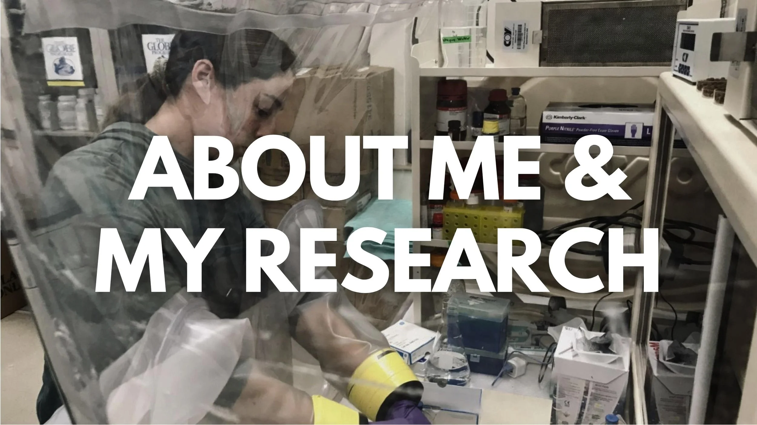 About Me & My Research