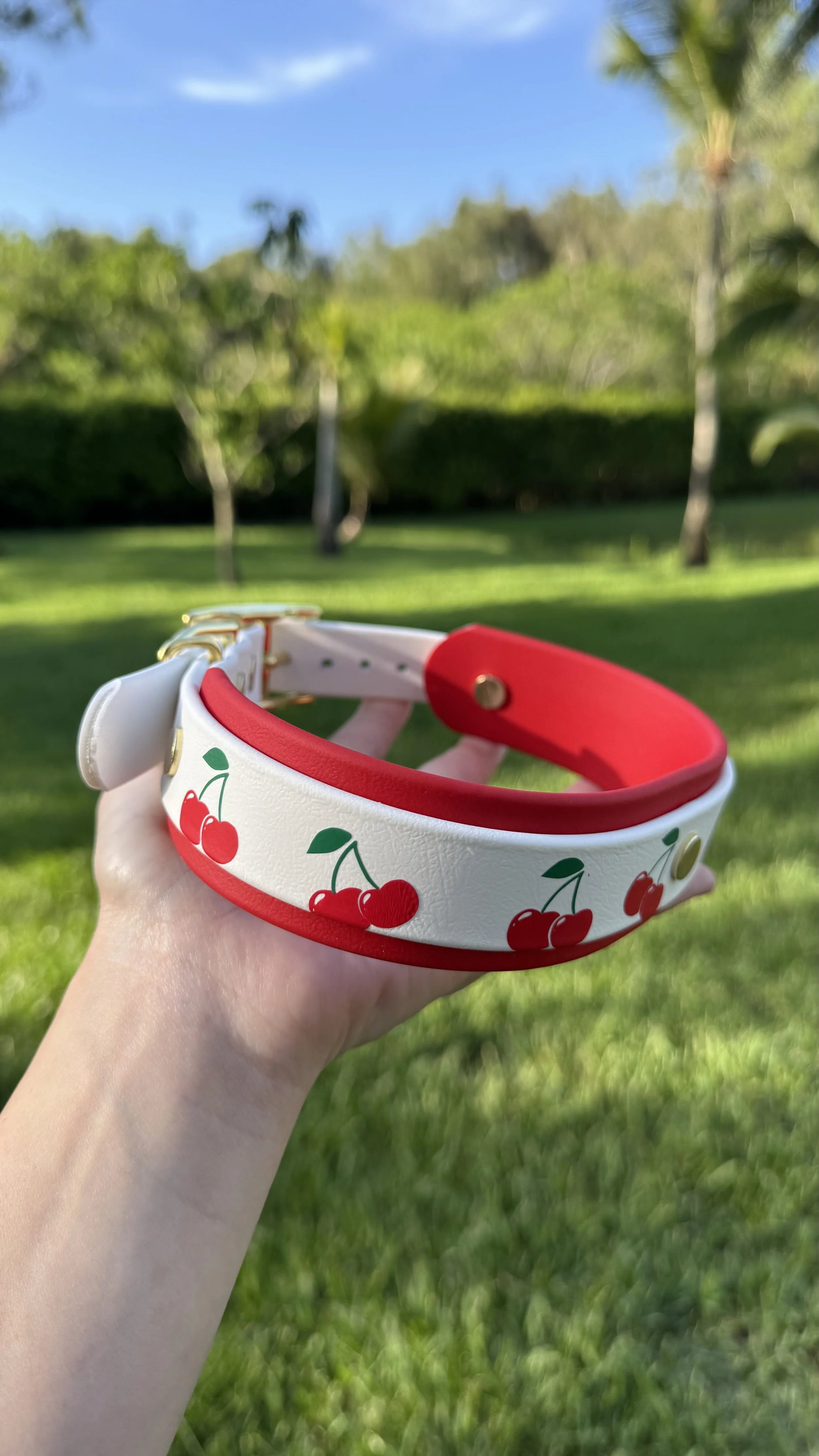 Cherry Collar