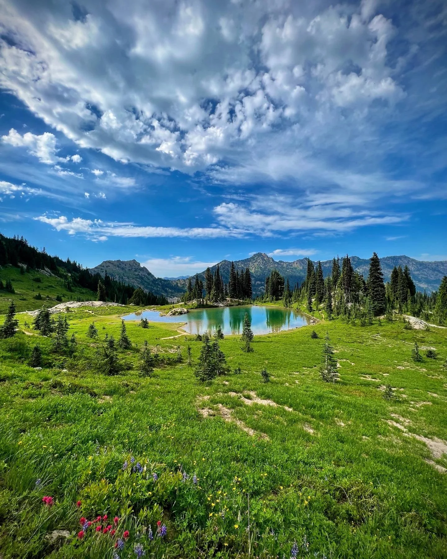 Naches Peak Loop.JPG