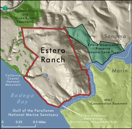Sonoma's Estero Ranch Preserved Forever