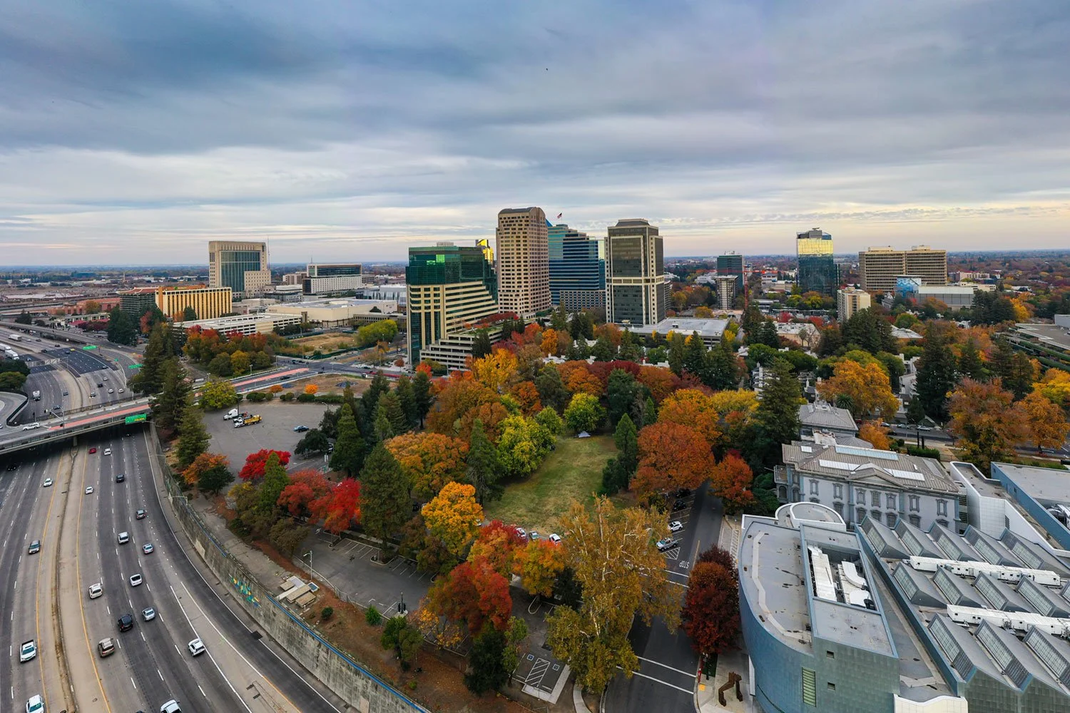 Fall foliage in Sacramento's downtown