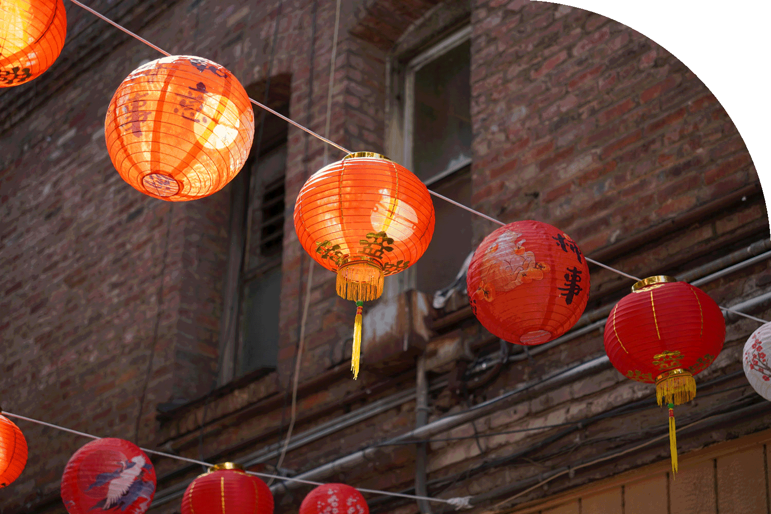 February 2026 Market Report