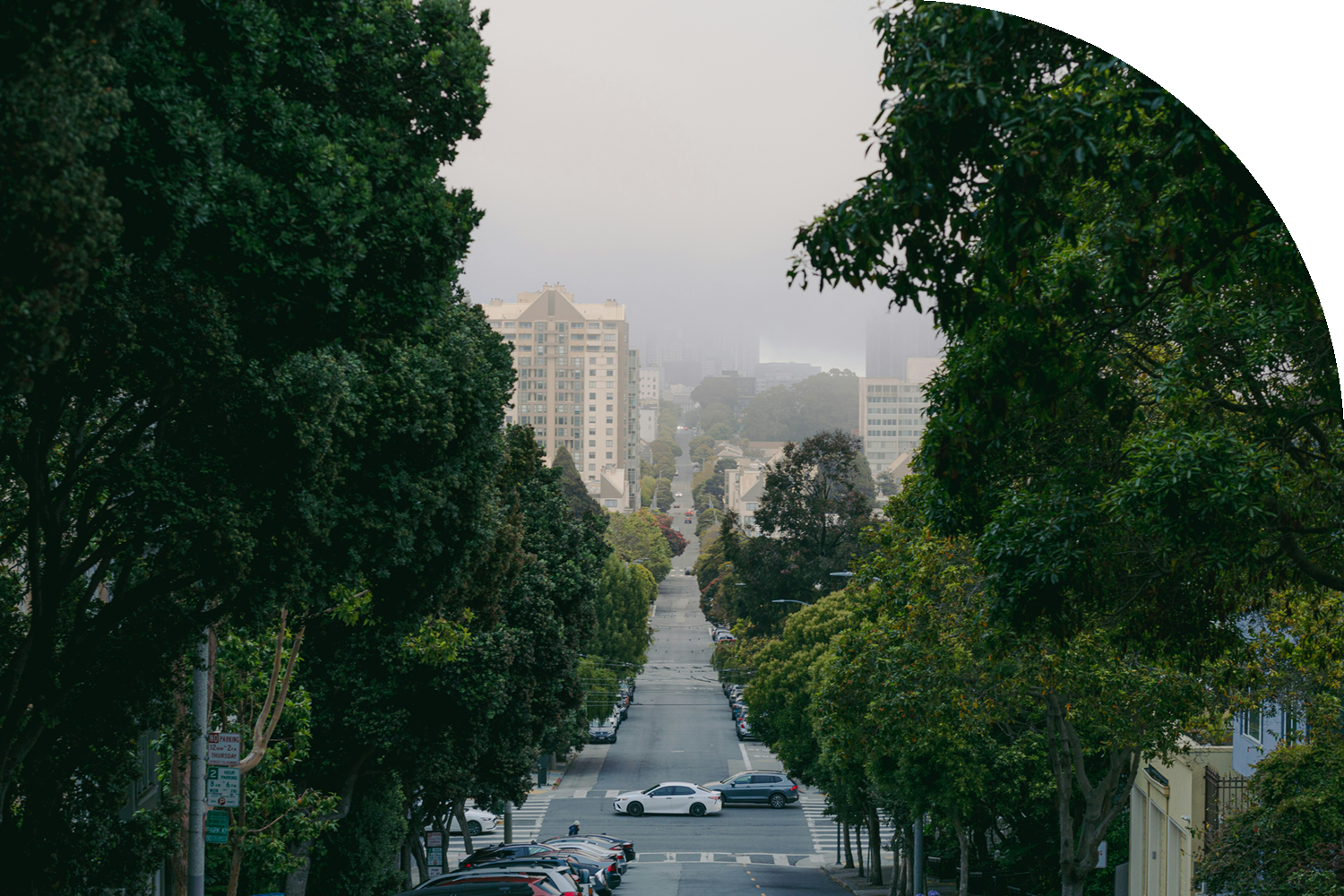 July 2026 Market Report
