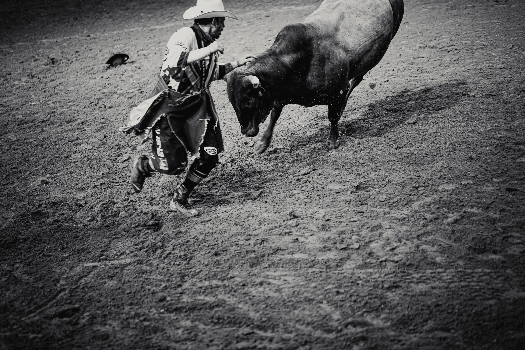 cowboy photography, silver spurs arena, equestrian photography, rodeo, events, orlando, Florida