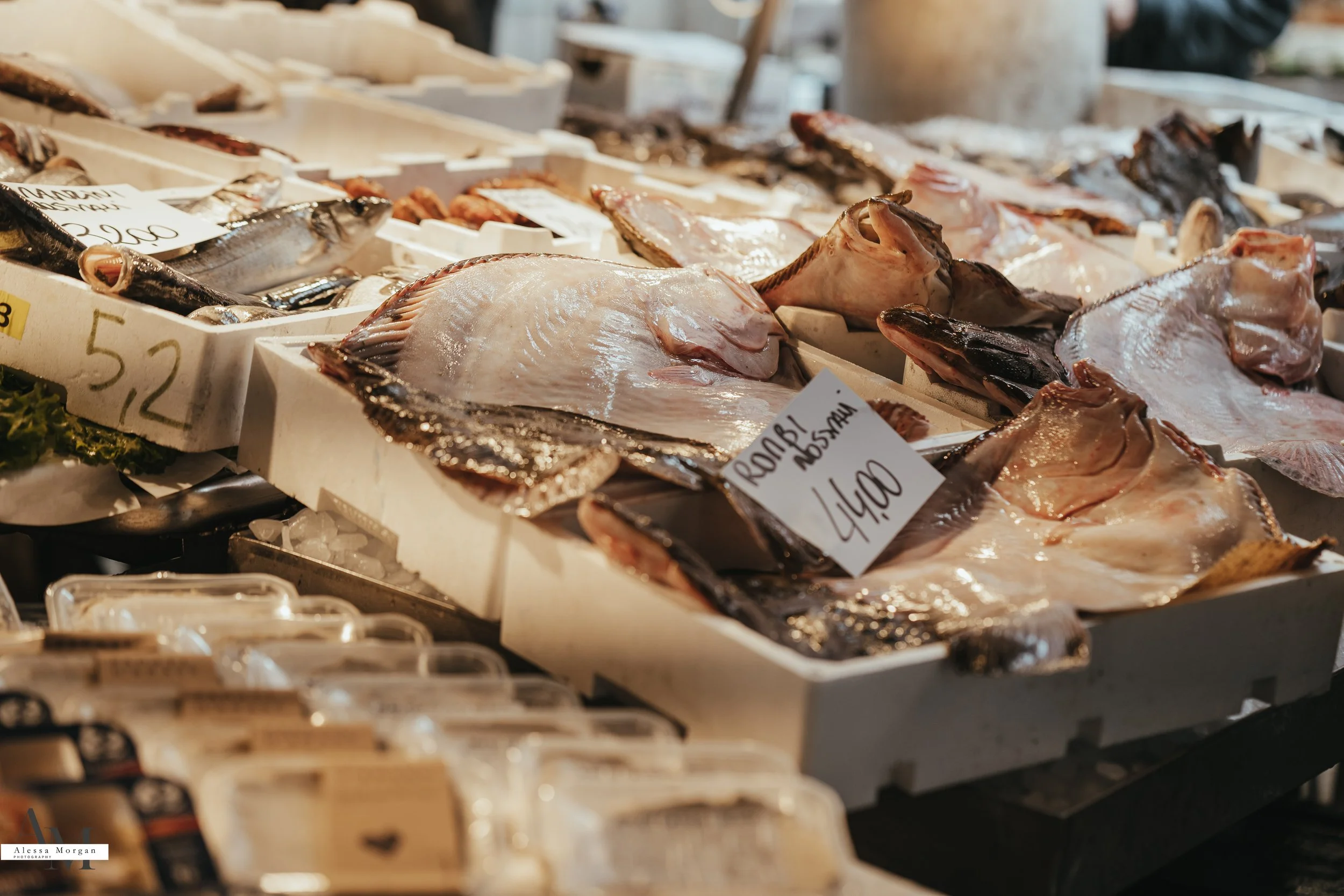 street photography, market, fish market Venice, Venice, Italy, Orlando, Florida, photographer, portrait, black and white photography, capturing moments, seagull with fish, fish, market