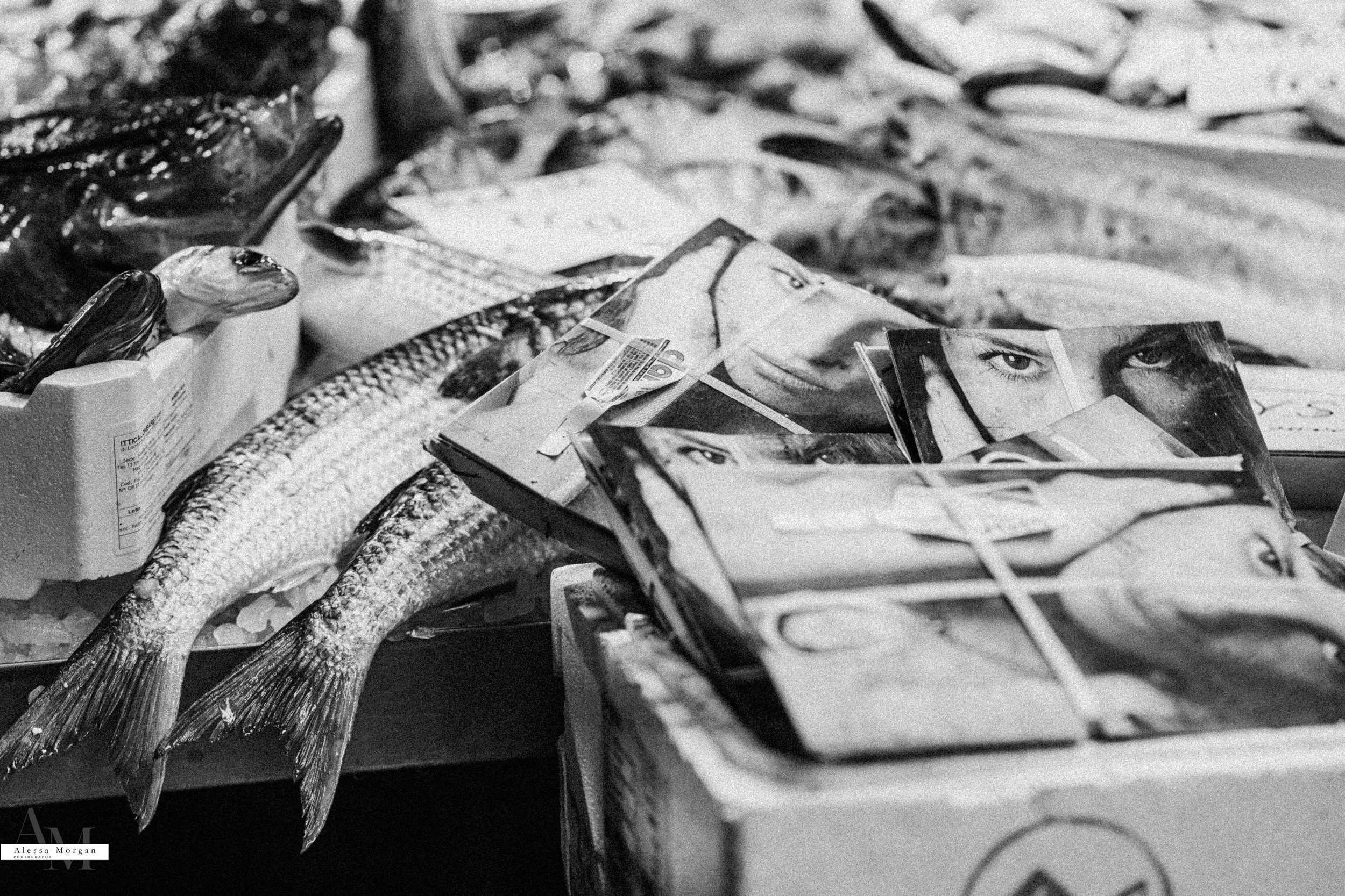street photography, market, fish market Venice, Venice, Italy, Orlando, Florida, photographer, portrait, black and white photography, capturing moments, seagull with fish, fish, market