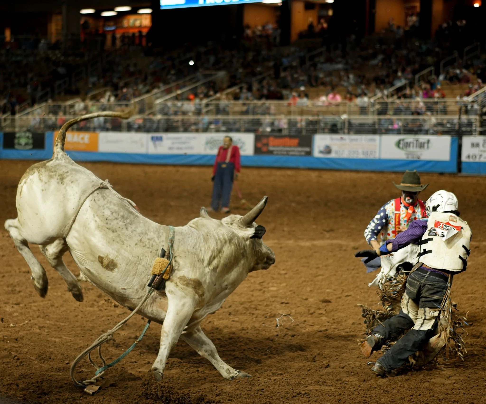 cowboy photography, silver spurs arena, equestrian photography, rodeo, events, orlando, Florida