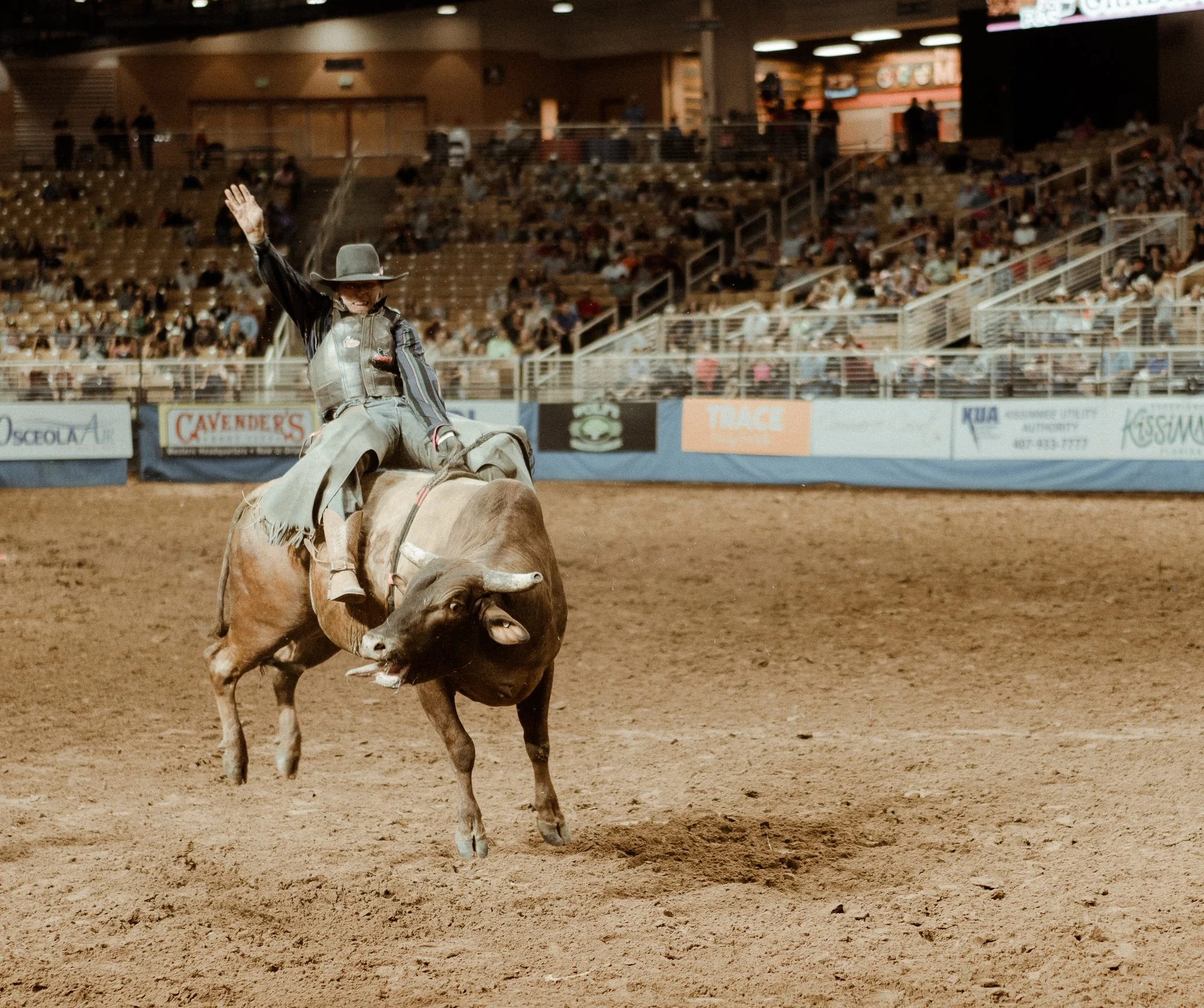 cowboy photography, silver spurs arena, equestrian photography, rodeo, events, orlando, Florida
