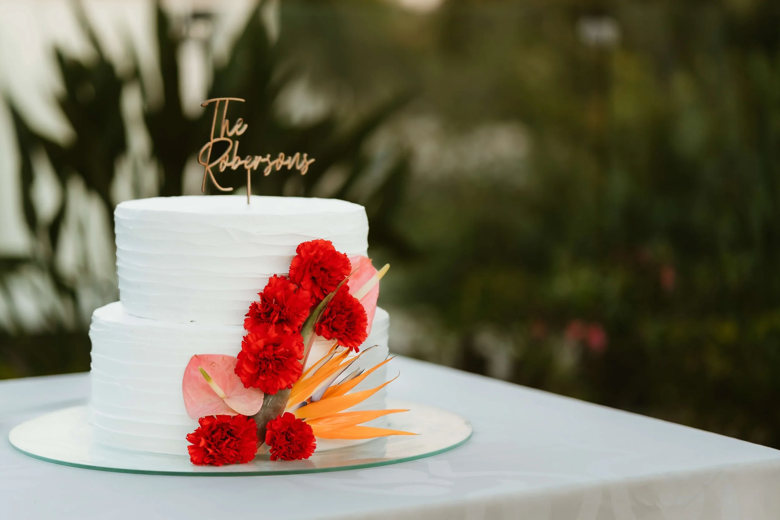 Destination Wedding at Sandos Caracol Resort, Quintana Roo, Mexico