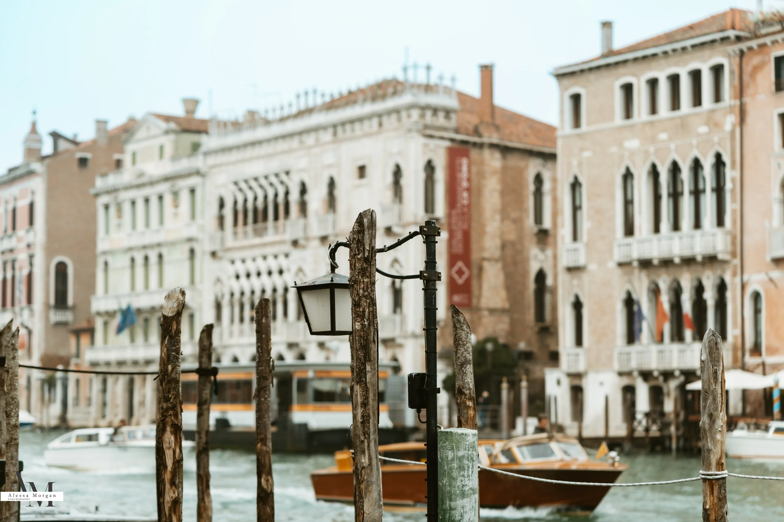 street photography, market, fish market Venice, Venice, Italy, Orlando, Florida, photographer, portrait, black and white photography, capturing moments, seagull with fish, fish, market