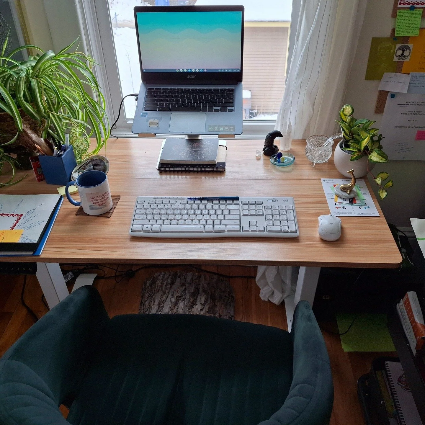 Getting back to work this week...

my energy feels really freed up from doing a big chunk of healing over the past few months. 

I'm aware that there's much more space available for all that I want to be doing. It feels really tender still, though. 
