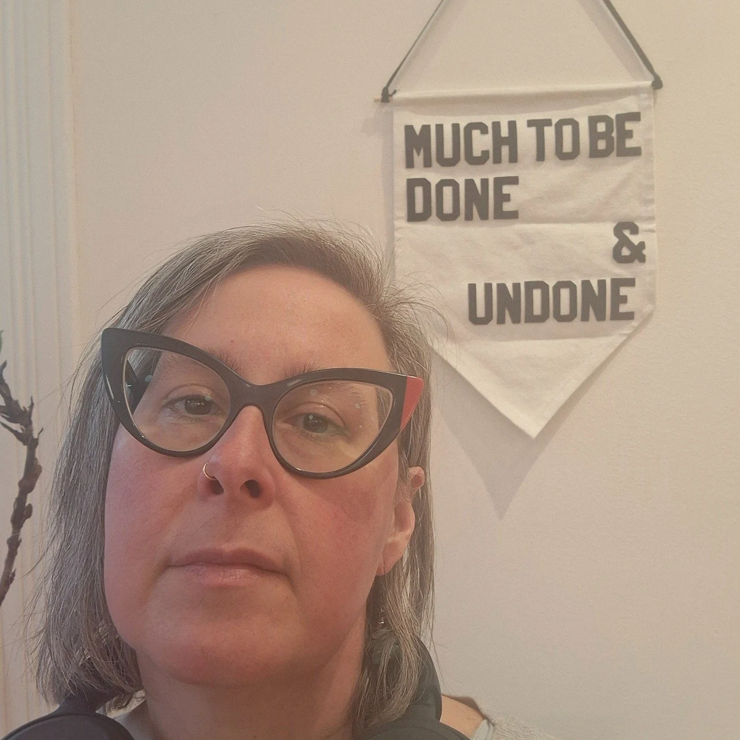 "How do we take our anger and turn into sacred rage and find a language that opens hearts rather than closes them?...a language that creates community rather than divides?" 

Renee Nicole Good, rest in power.

Imperfectly, we are finding th
