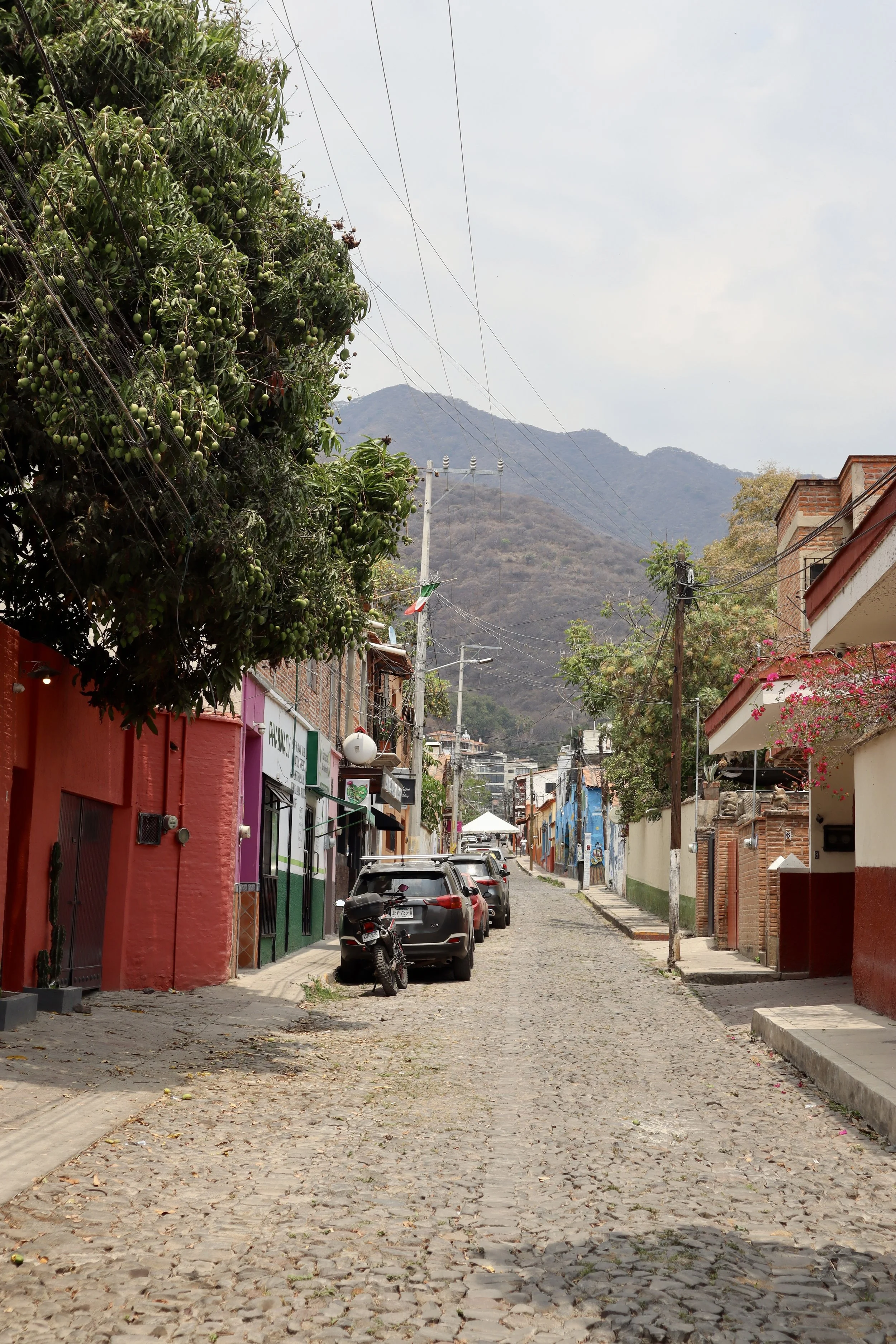 Ajijic, Jalisco Mexico