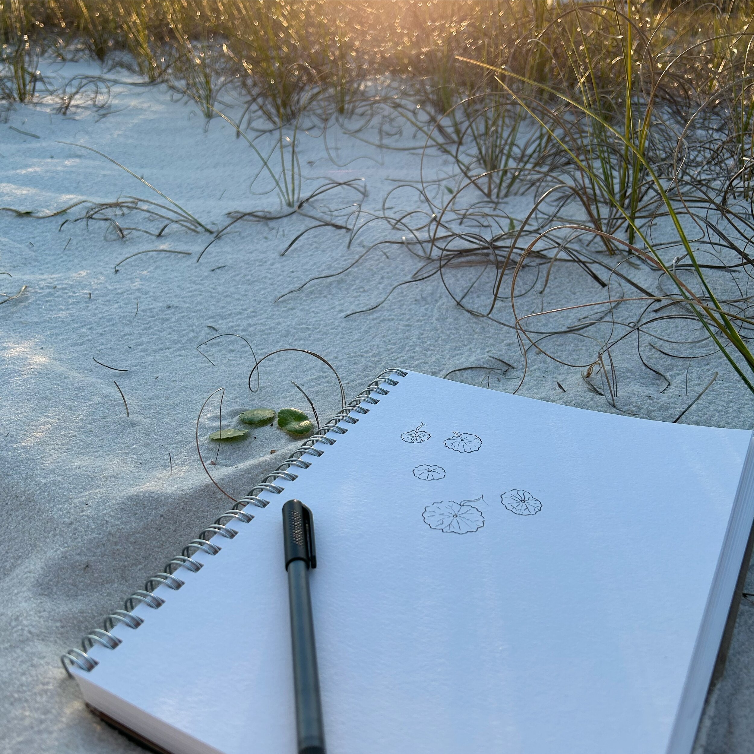 This was my #momentofcalm yesterday. 

What a beautiful thing it is to just sit in a moment- especially in the natural world.

-
-
-

#marchmeethemaker #marchmeetthemaker2024 #bepresent #artist #creative #sketch