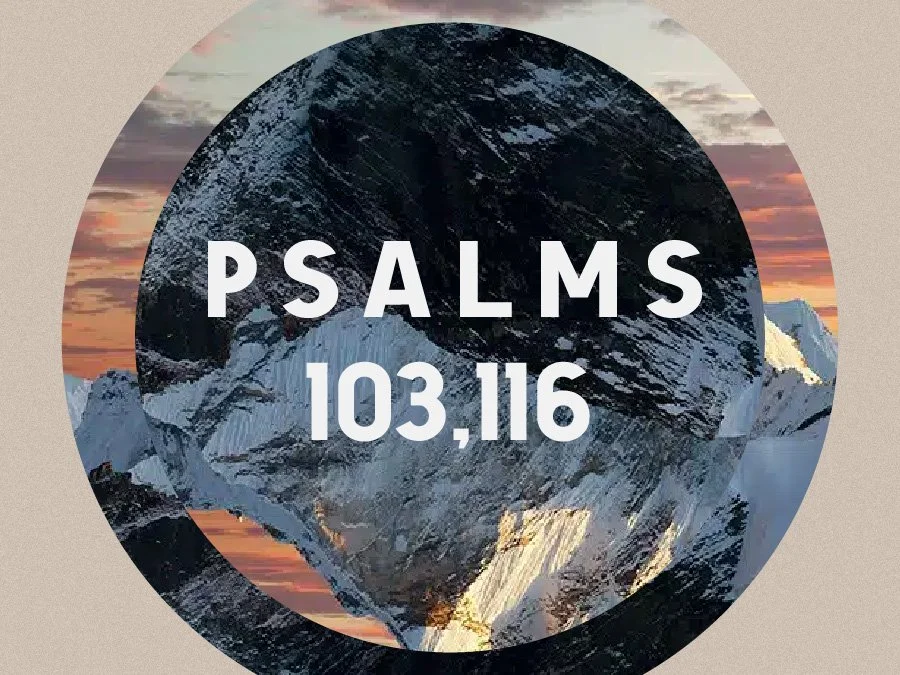 Talk To Your Soul (In Times of Trouble)