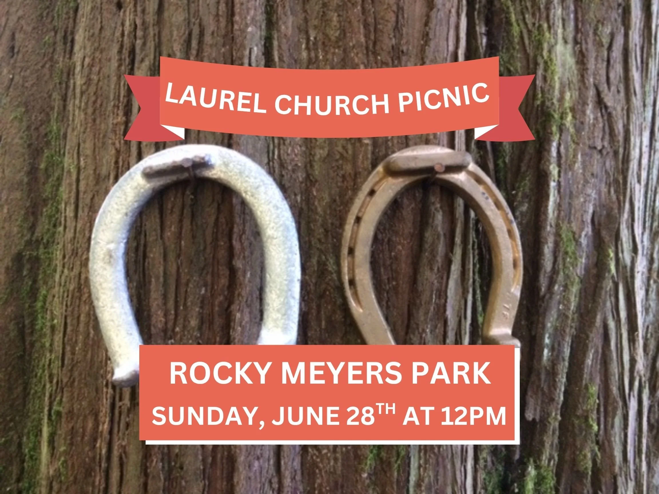Church Picnic