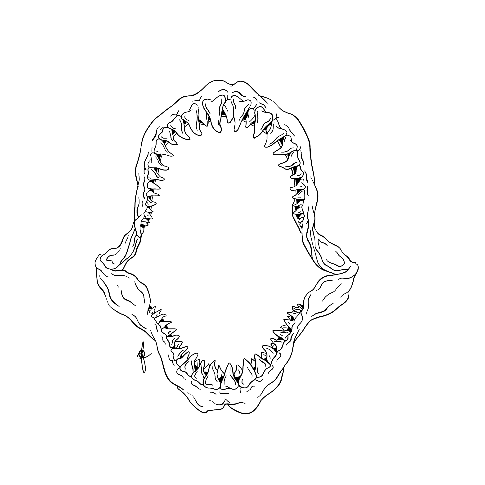 IMG_0686.PNG