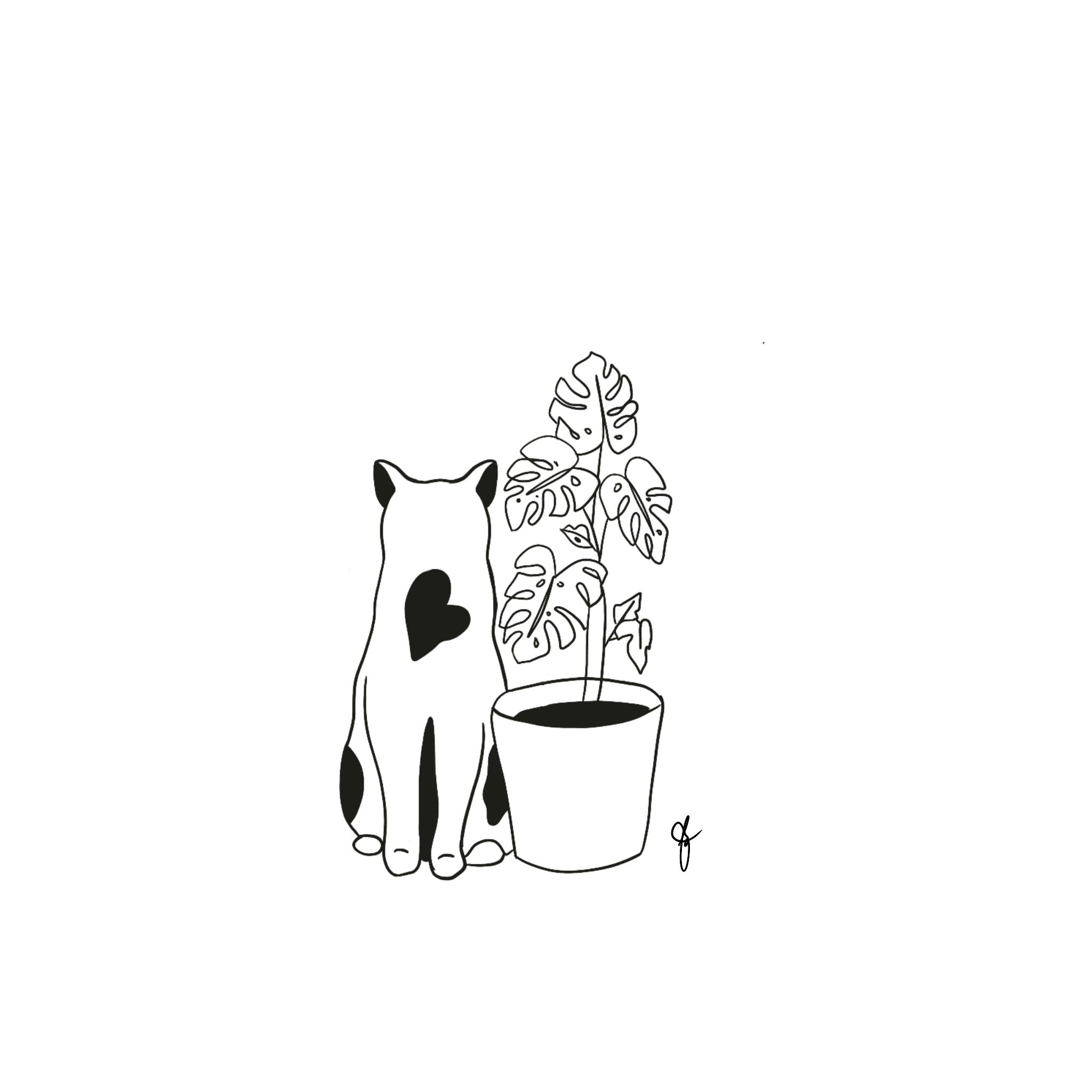 IMG_0675.PNG