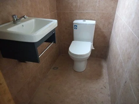 Picture20.jpg