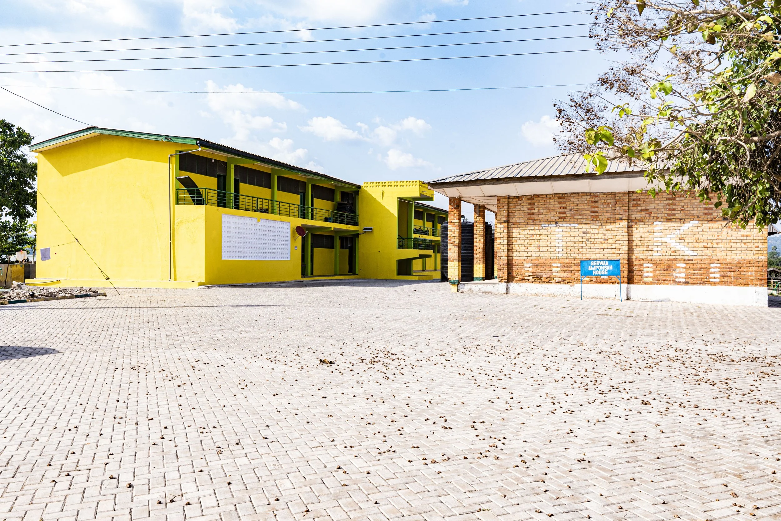 P1079991.jpg