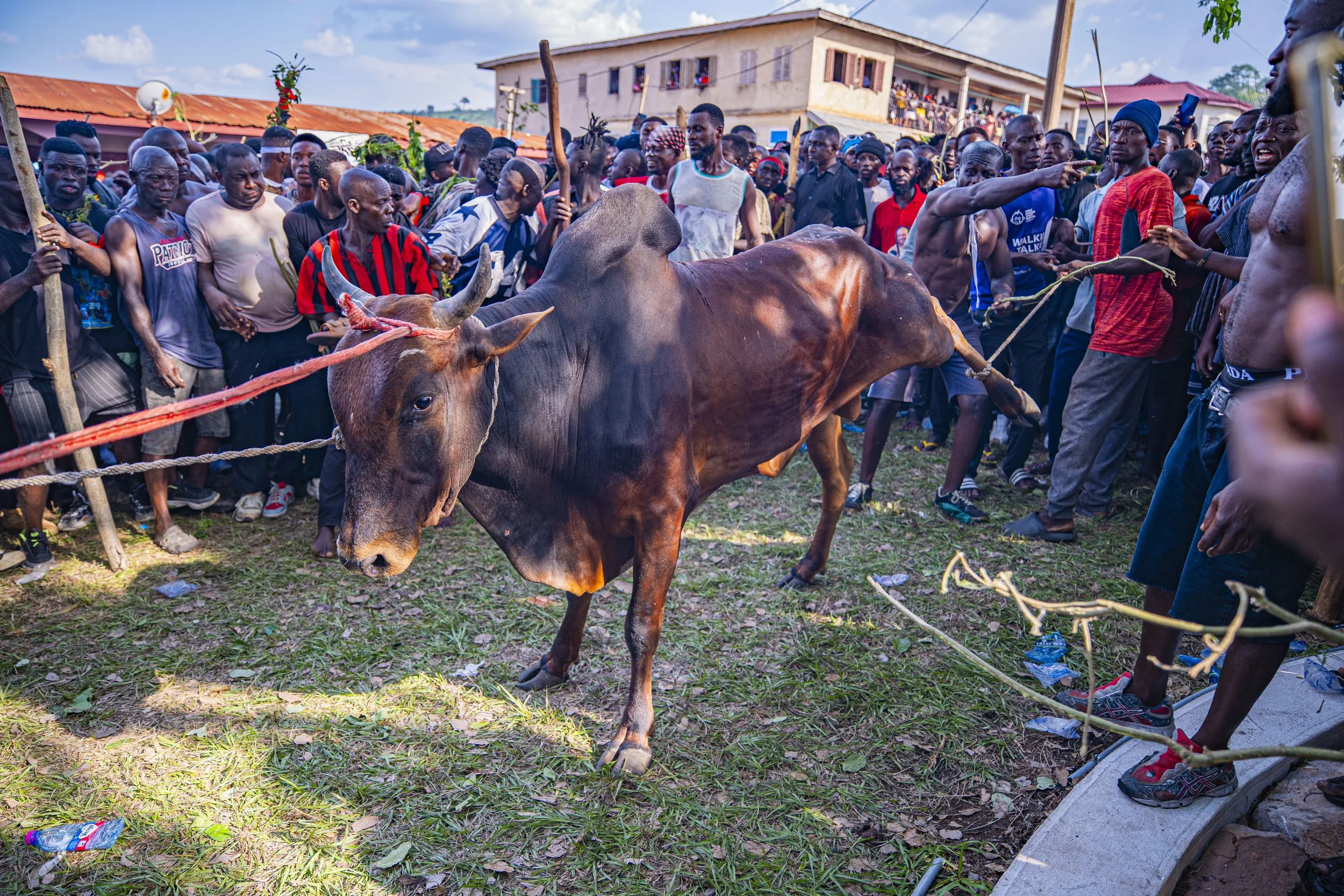 P1081457.jpg
