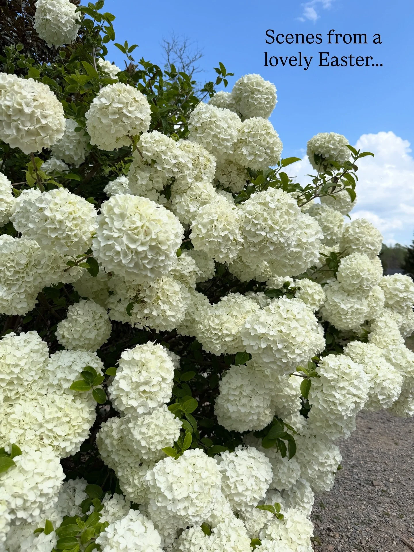 My heart is so full! 🥰☕️🌷⛪️🍷🩷