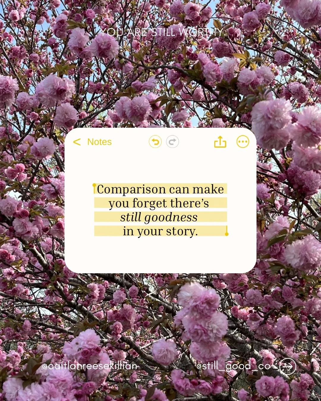 Comparison has a quiet way of making it feel like there&rsquo;s less for you.

Less goodness.
Less purpose.
Less to look forward to.

Especially when you&rsquo;re living a story you didn&rsquo;t choose.

But what God is doing in your life
is not dimi
