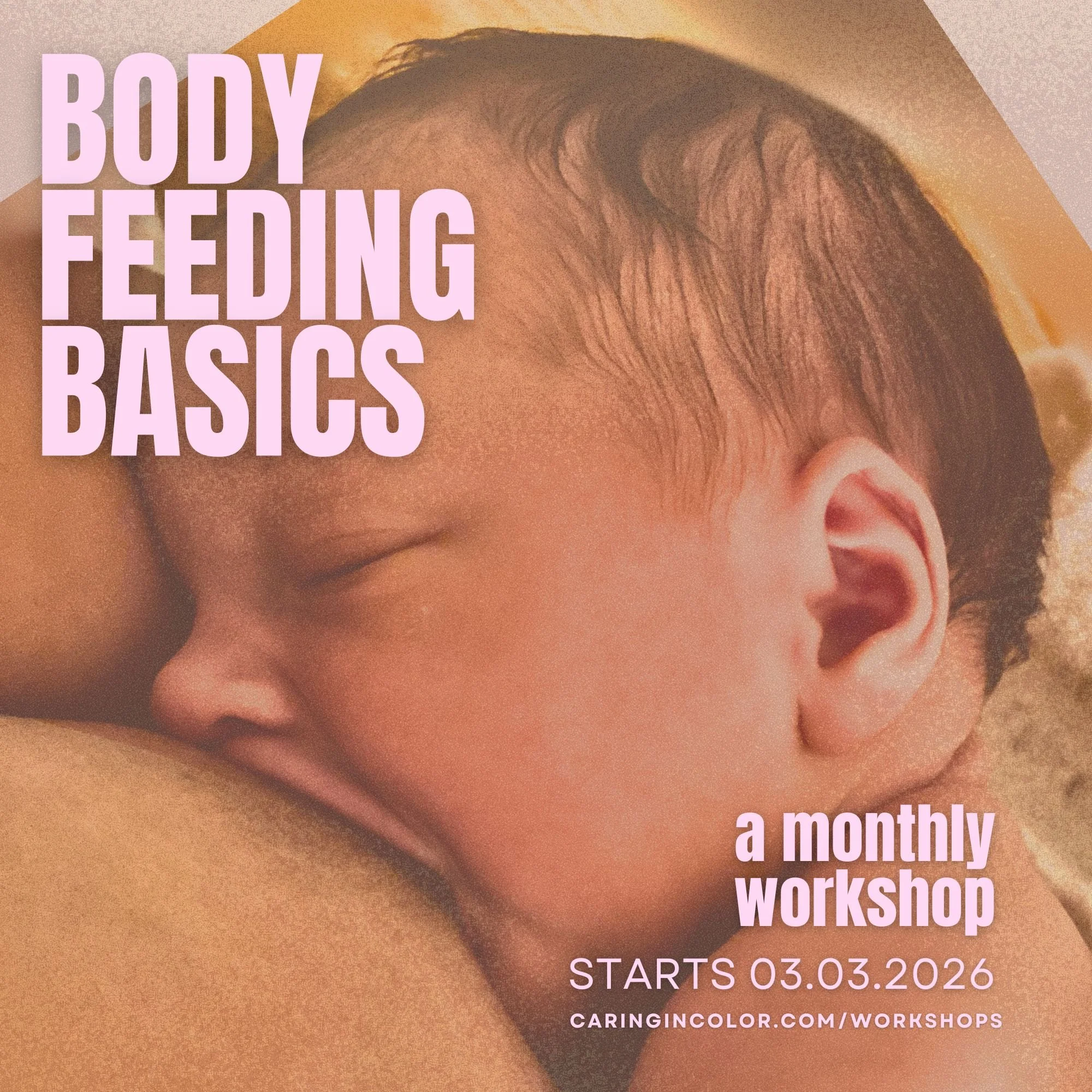 Bodyfeeding Basics Class
