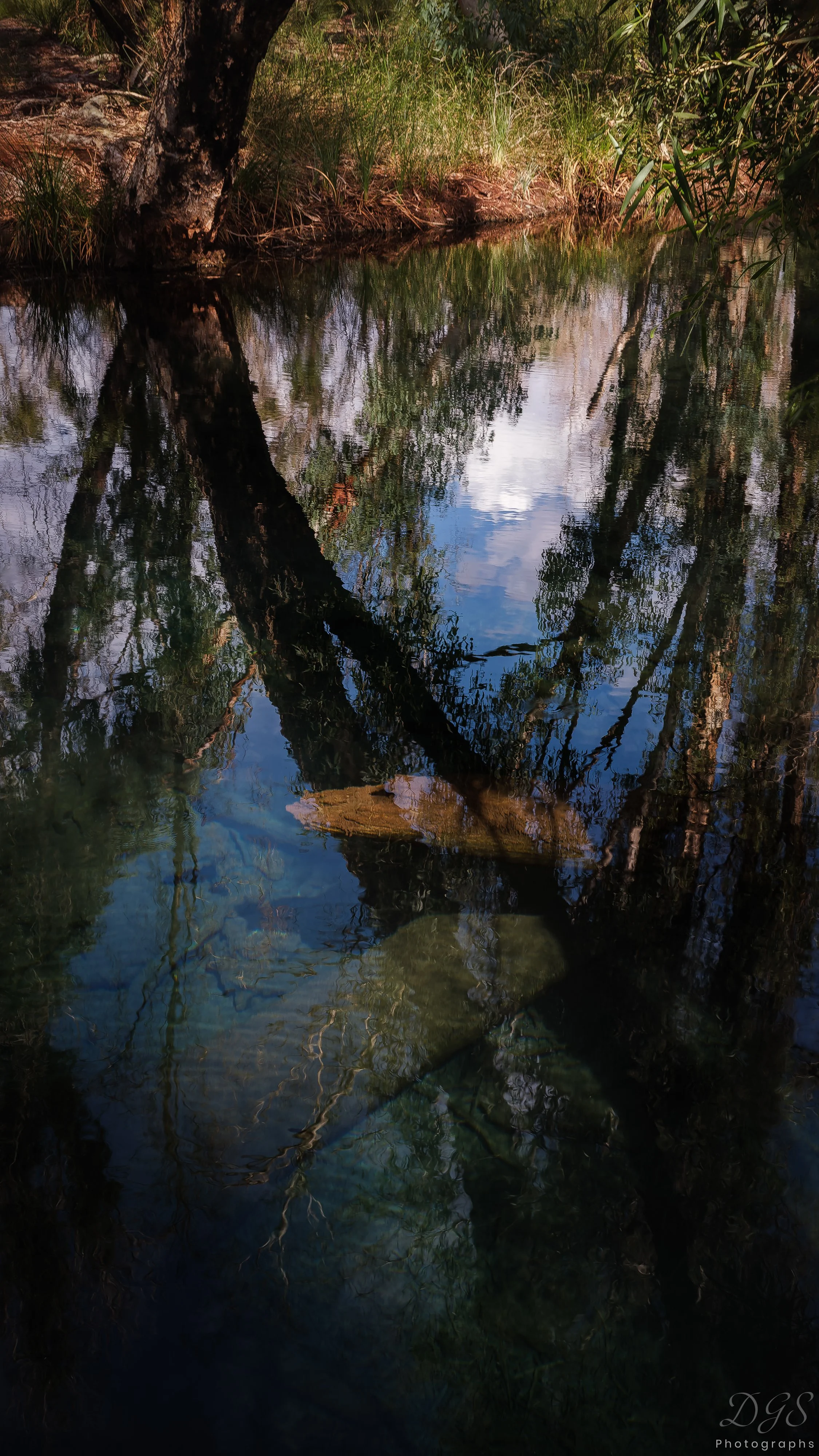 Impressions-6.jpg