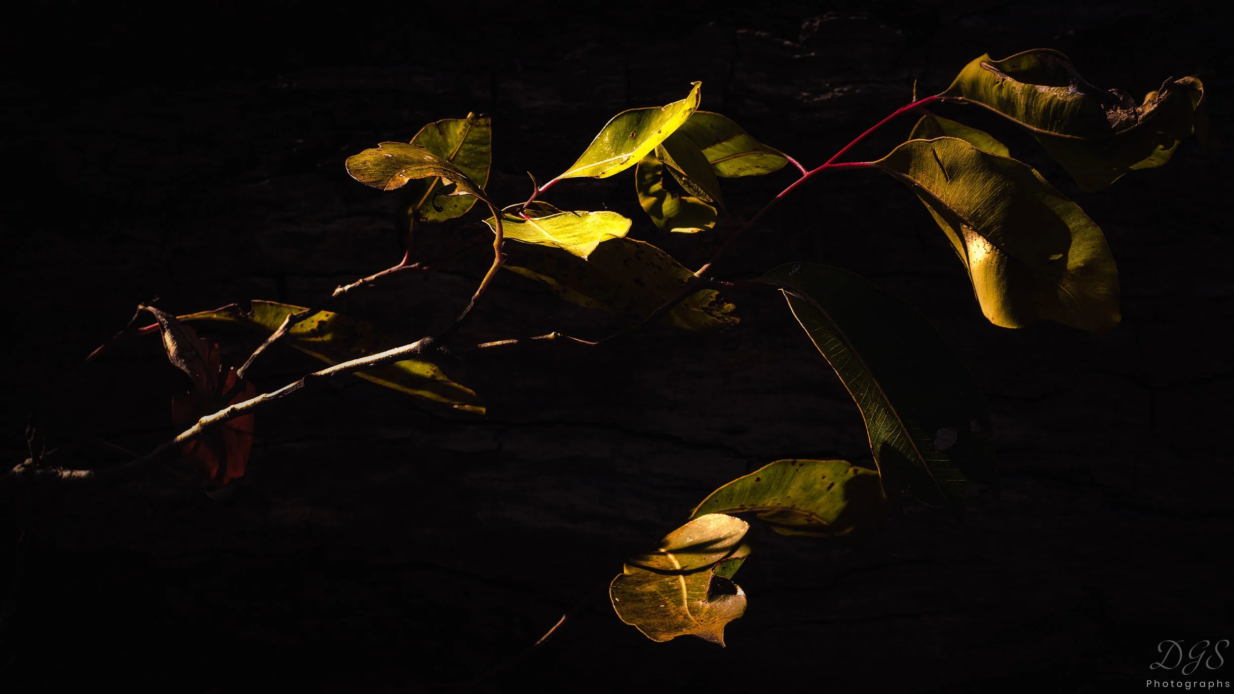 Secret Places-8.jpg