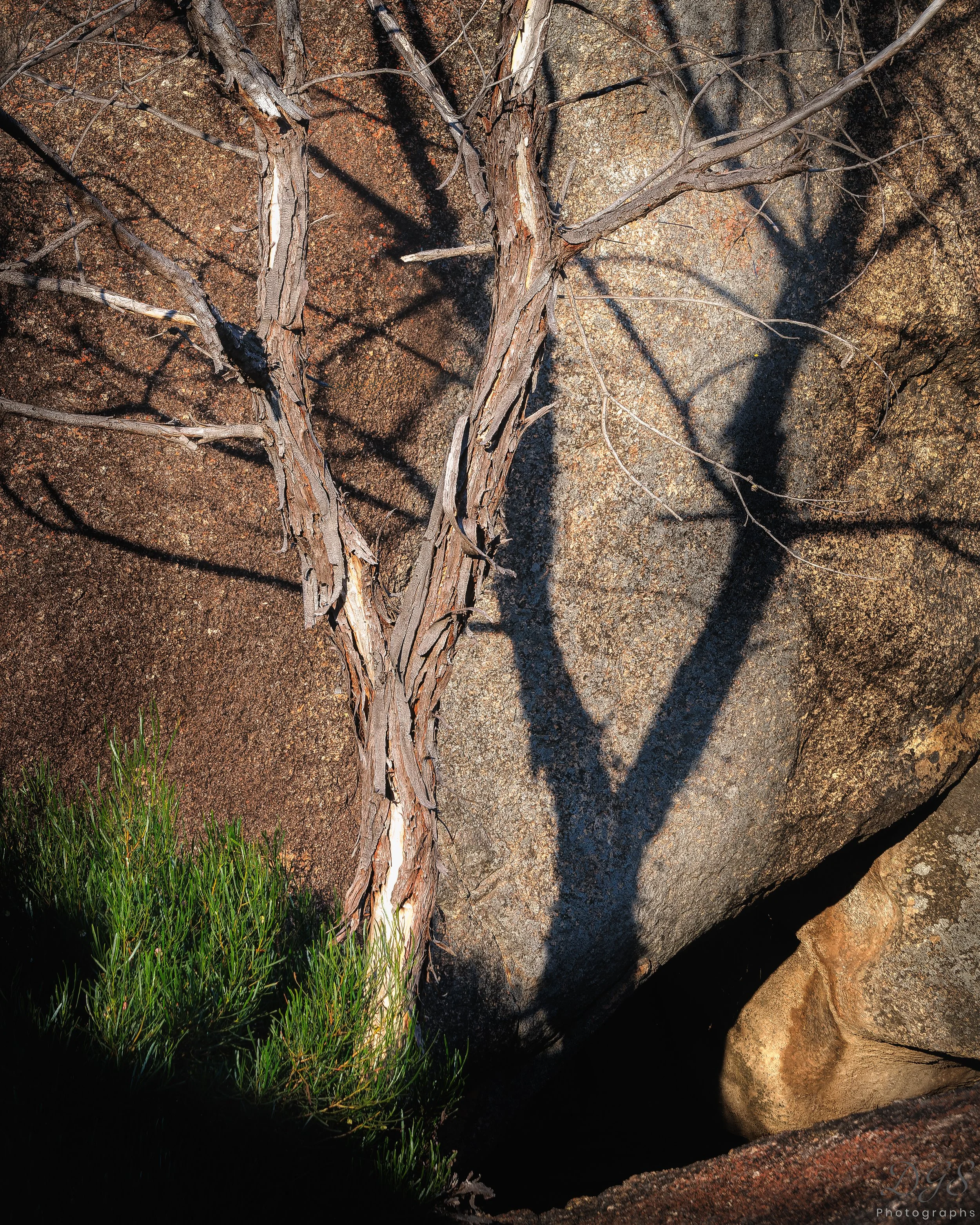 Secret Places-14.jpg