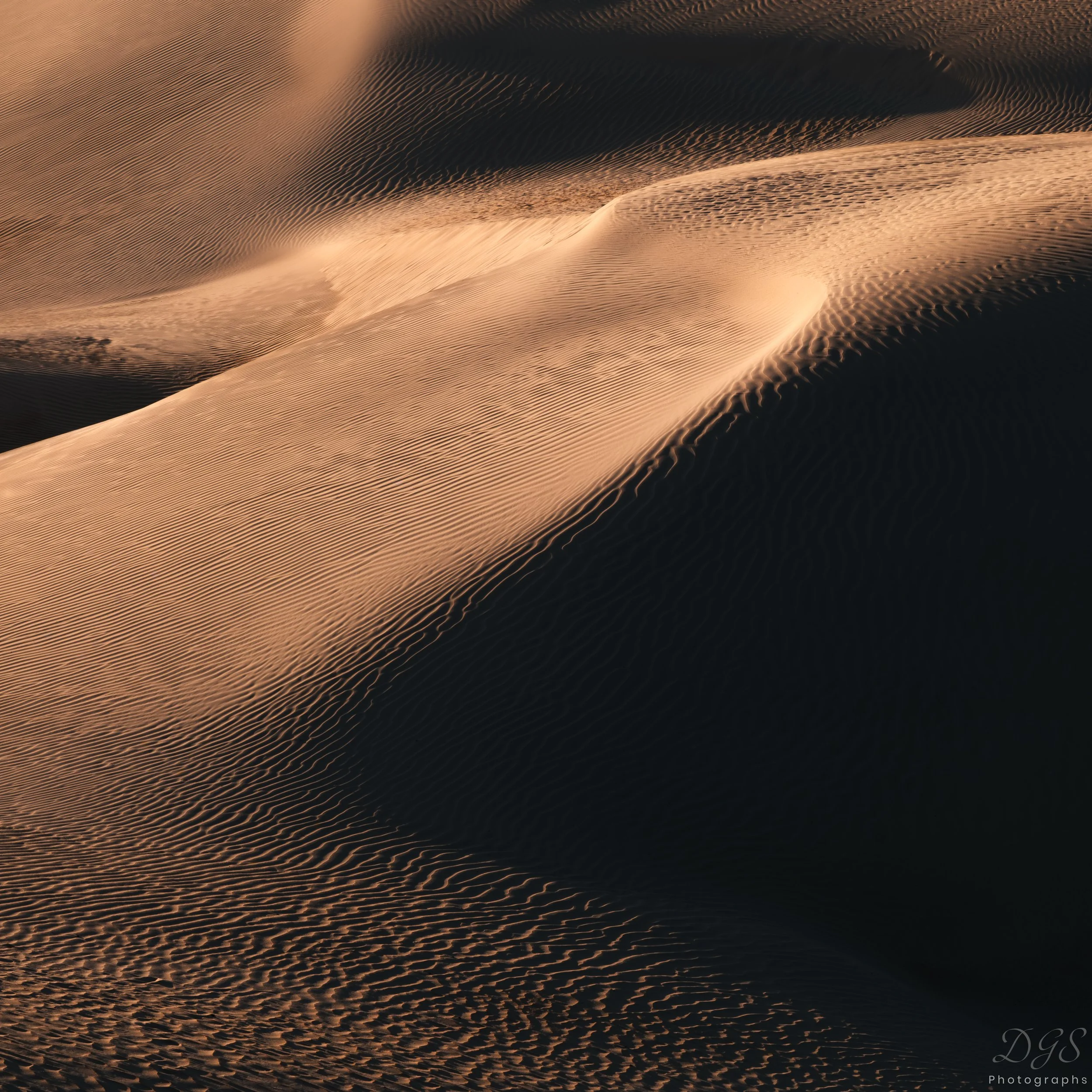 Impressions-14.jpg
