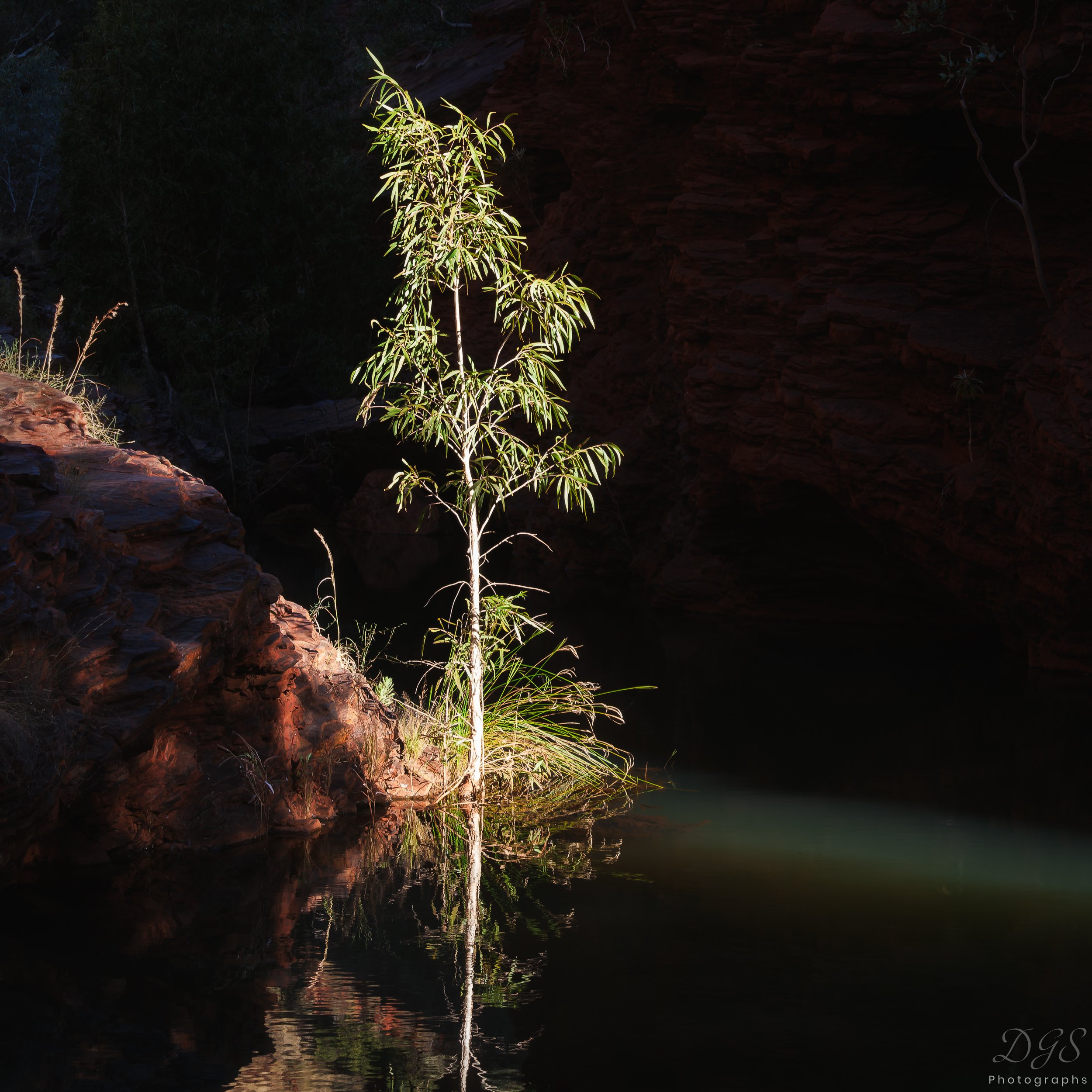 Secret Places-16.jpg