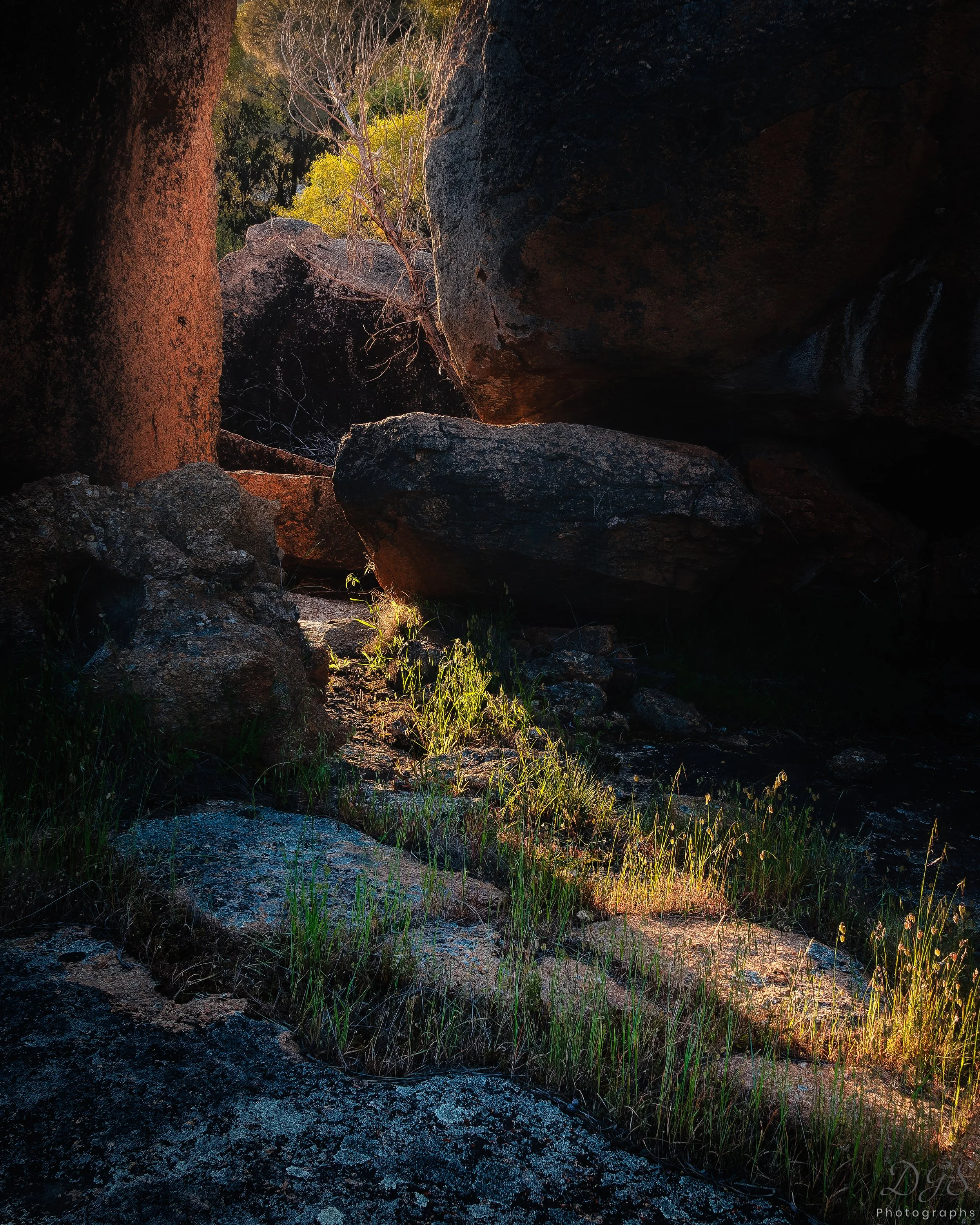 Impressions-9.jpg