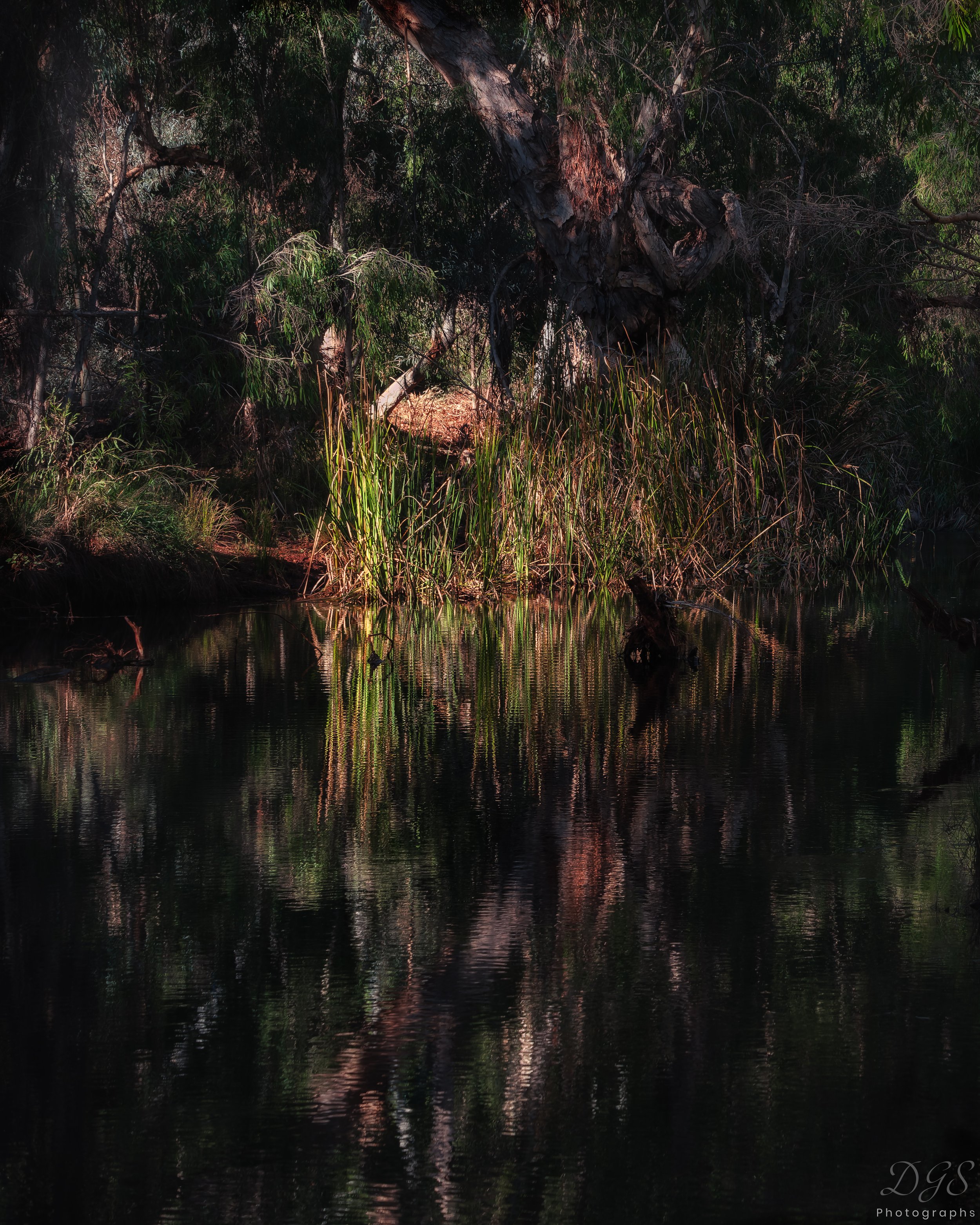 Secret Places-10.jpg