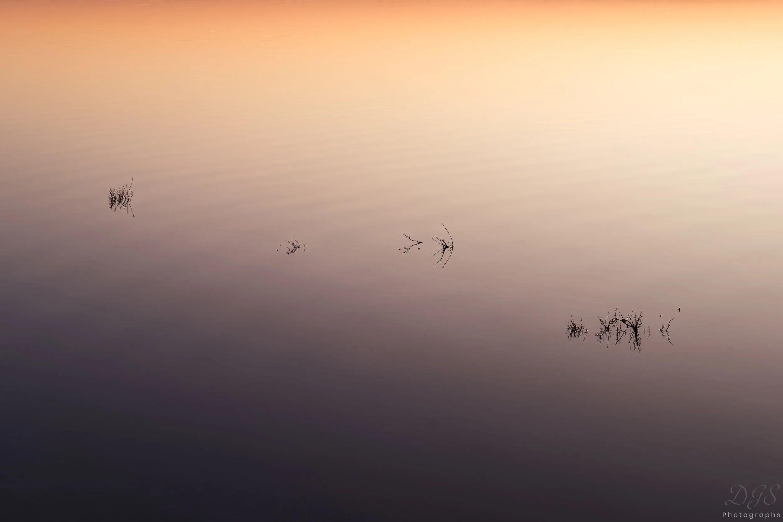 Impressions-12.jpg