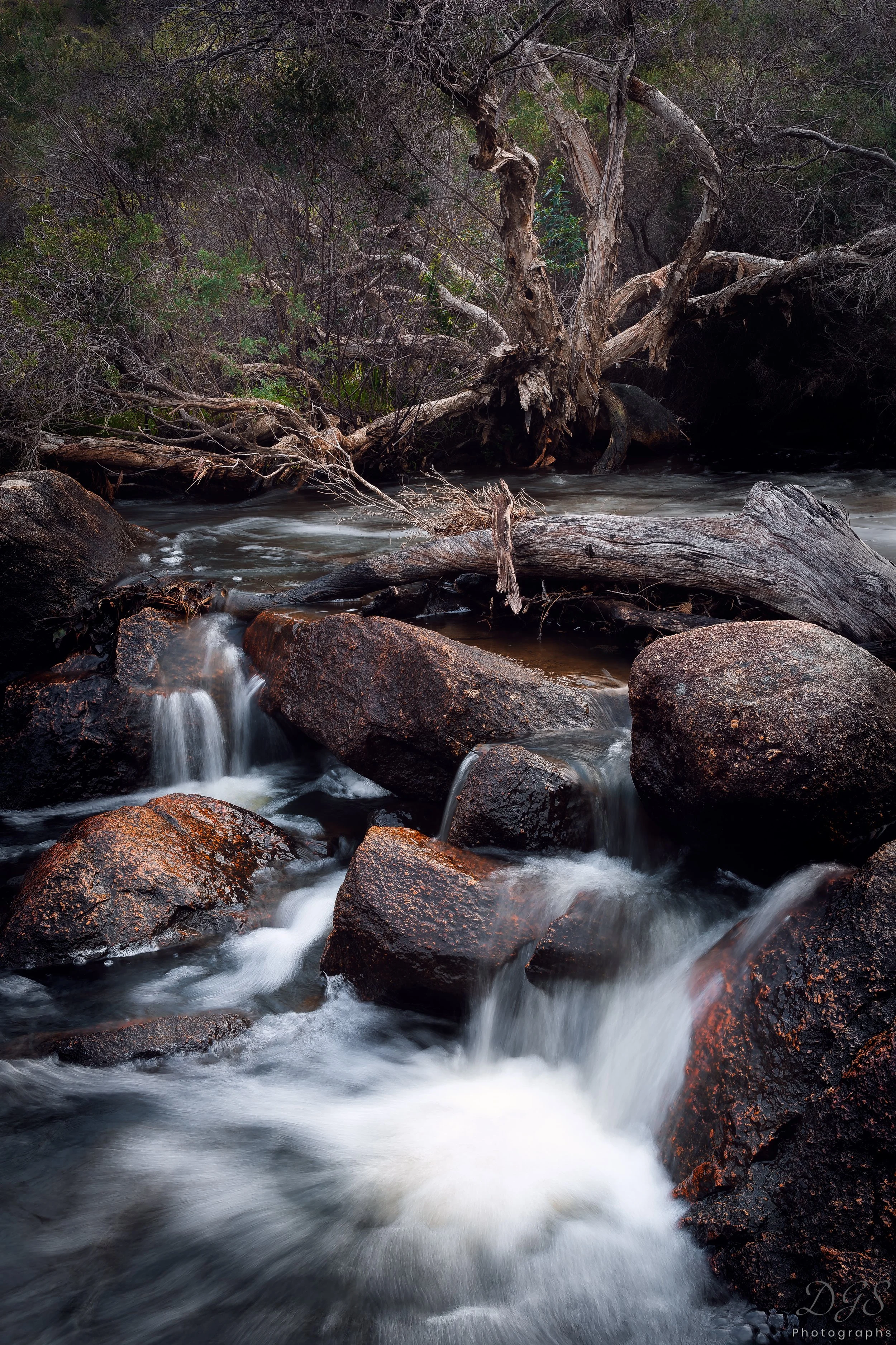 Secret Places-12.jpg