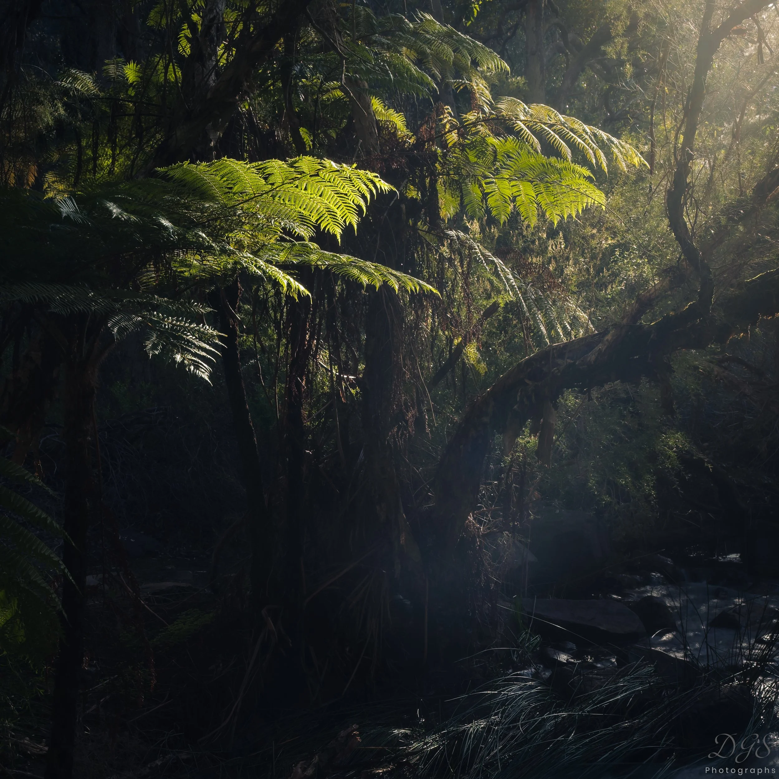 Secret Places-5.jpg