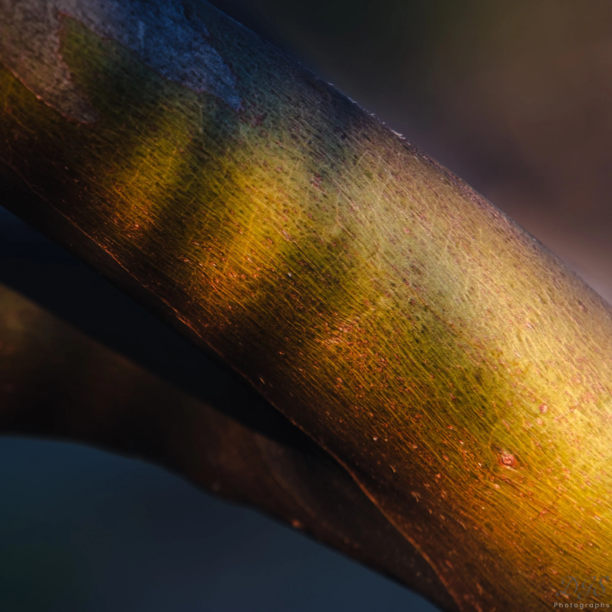 Secret Places-13.jpg